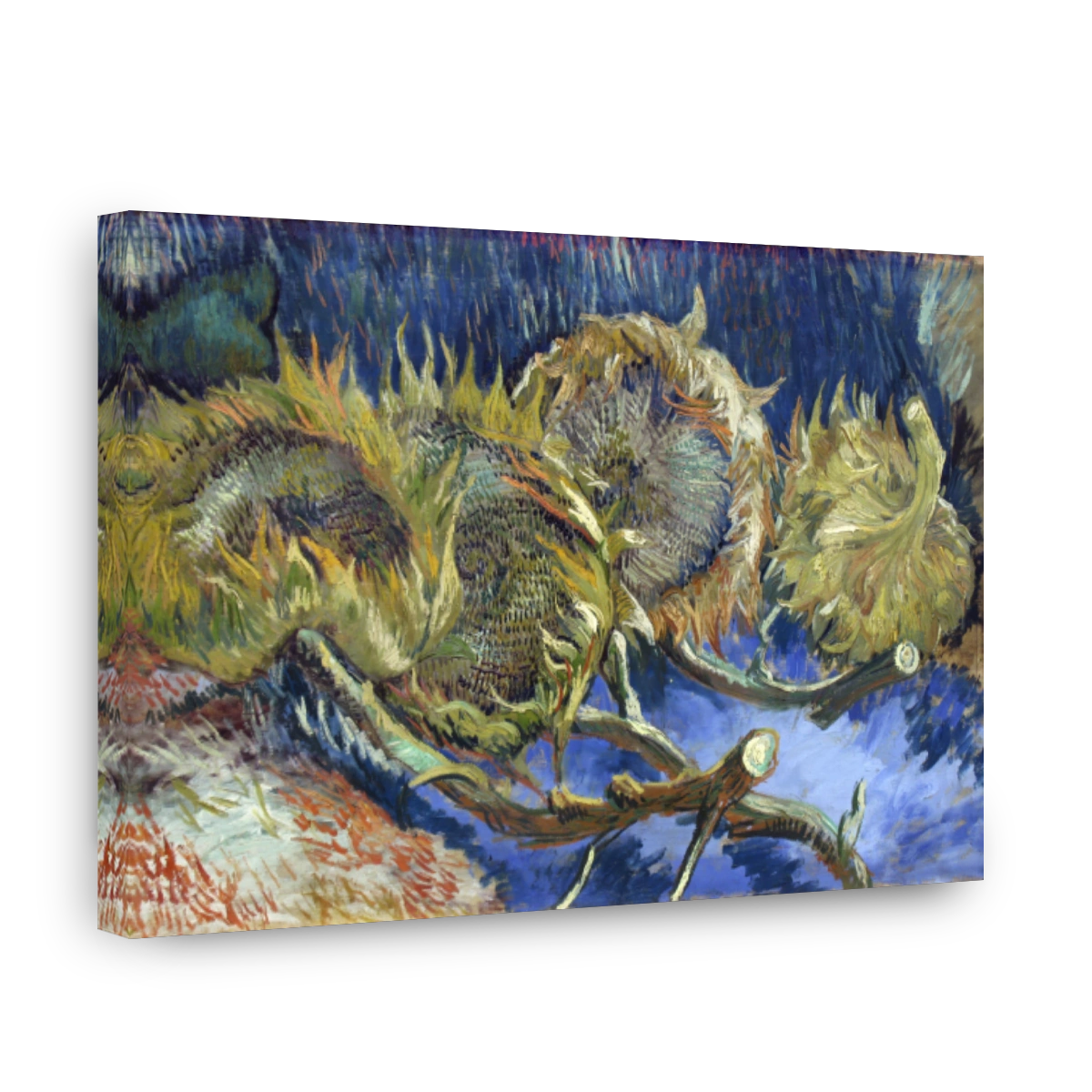 Four Withered Sunflowers (1887)