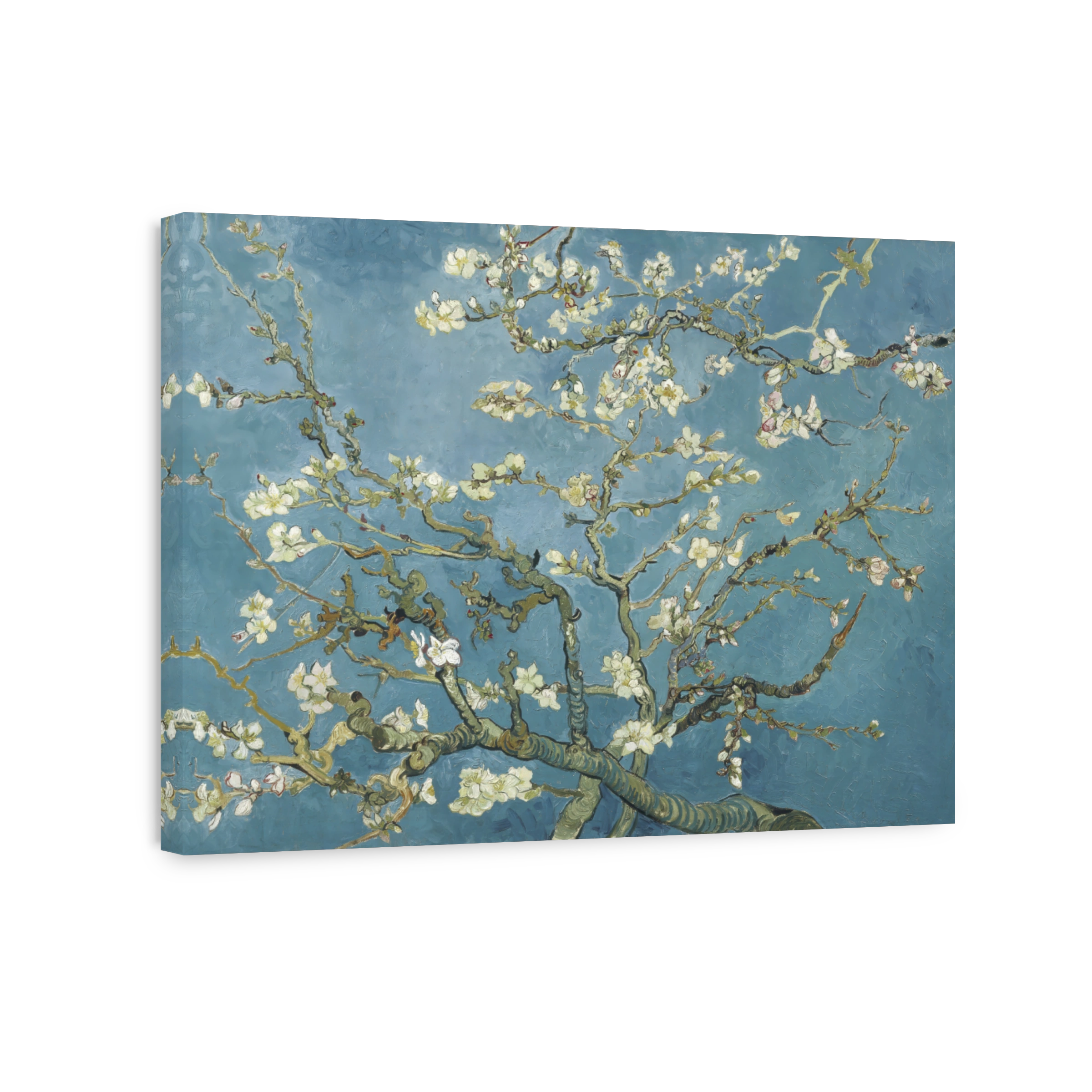 Almond Blossom (1890)