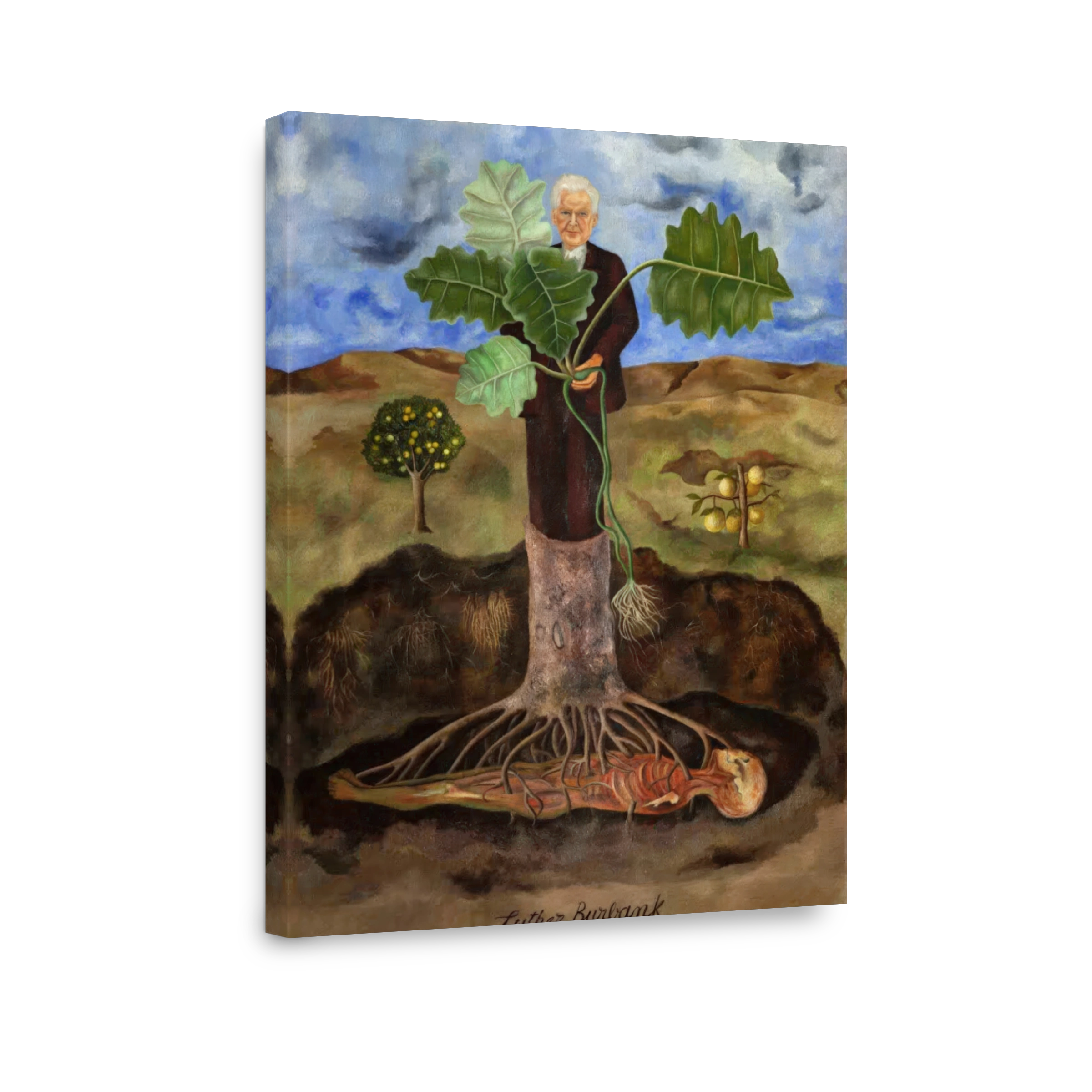 Portrait Of Luther Burbank, 1931