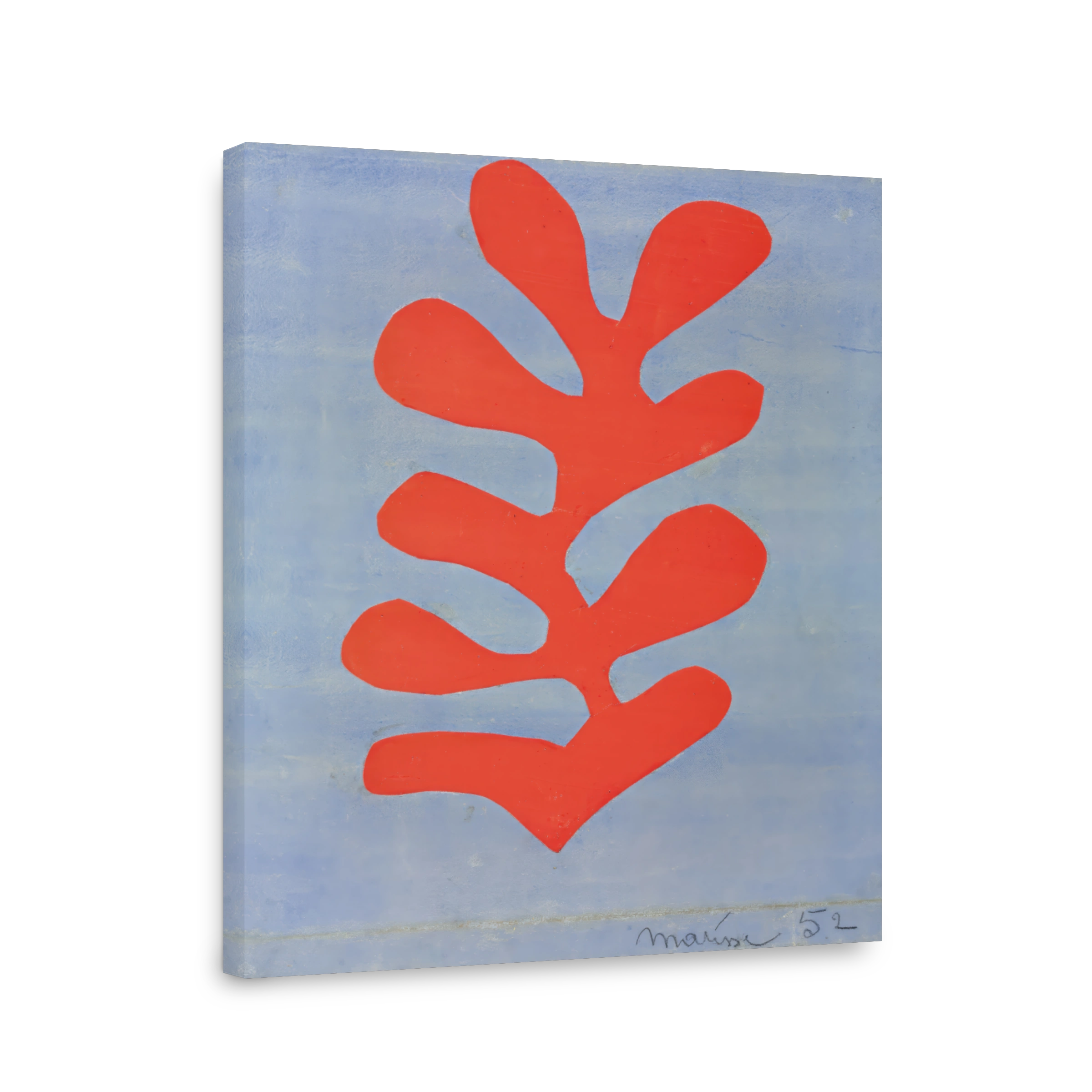 Algue Rouge Sur Fond Bleu Ciel, 1952