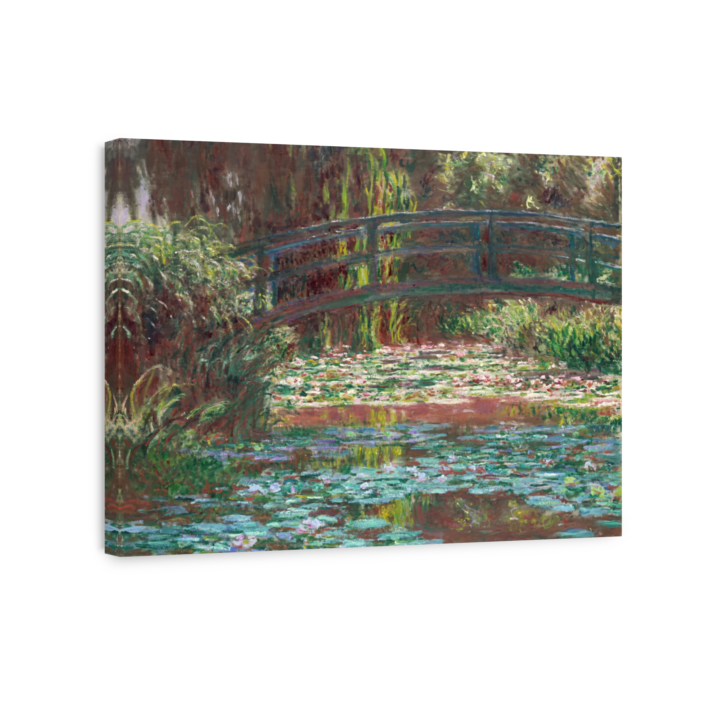 Water Lily Pond