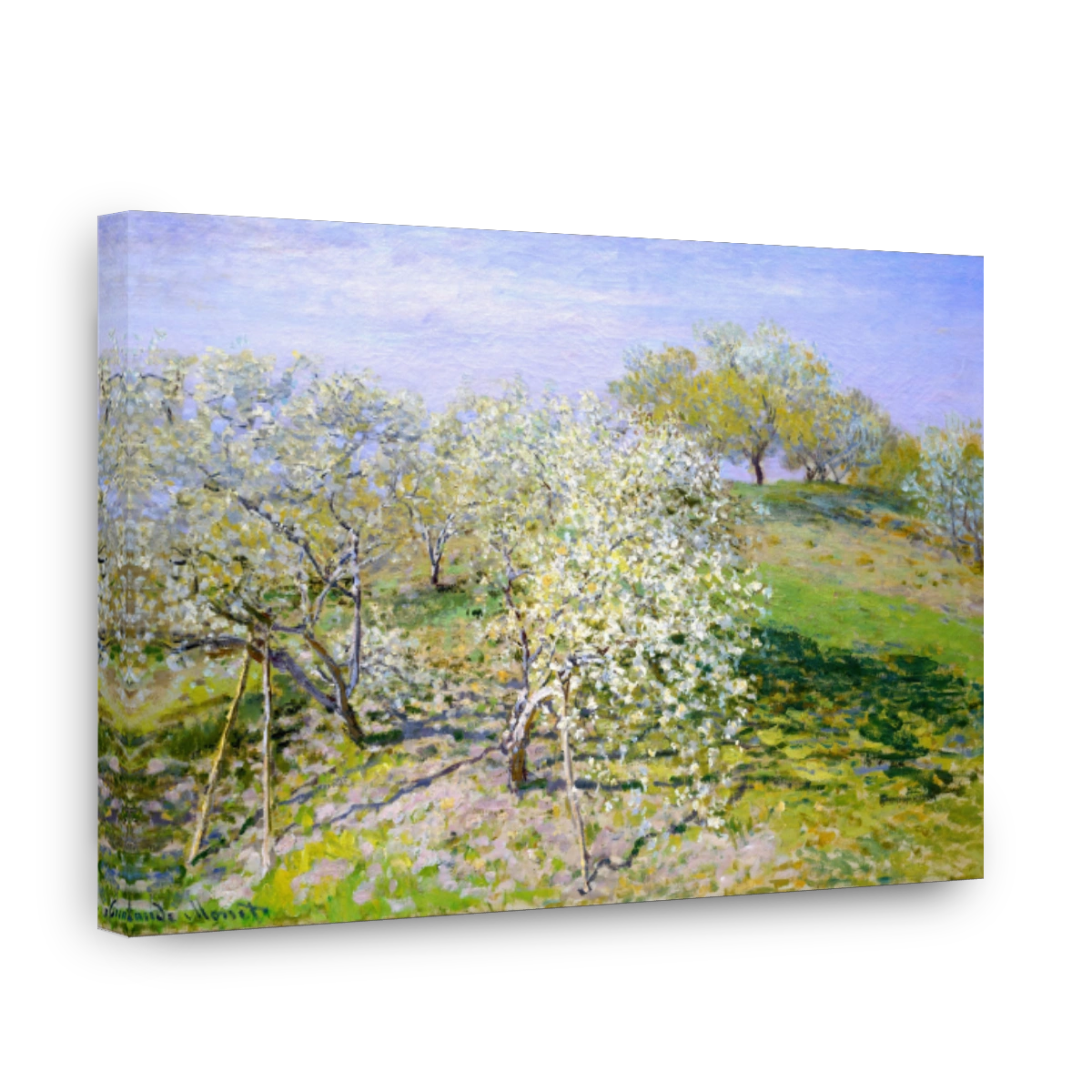 Apple Trees In Bloom, 1873
