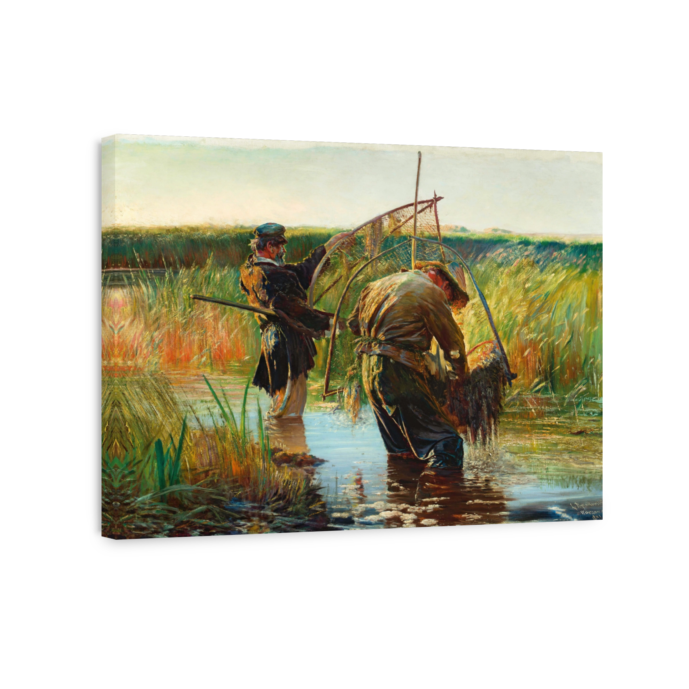 Fishermen Hauling Nets in Reedy Waters