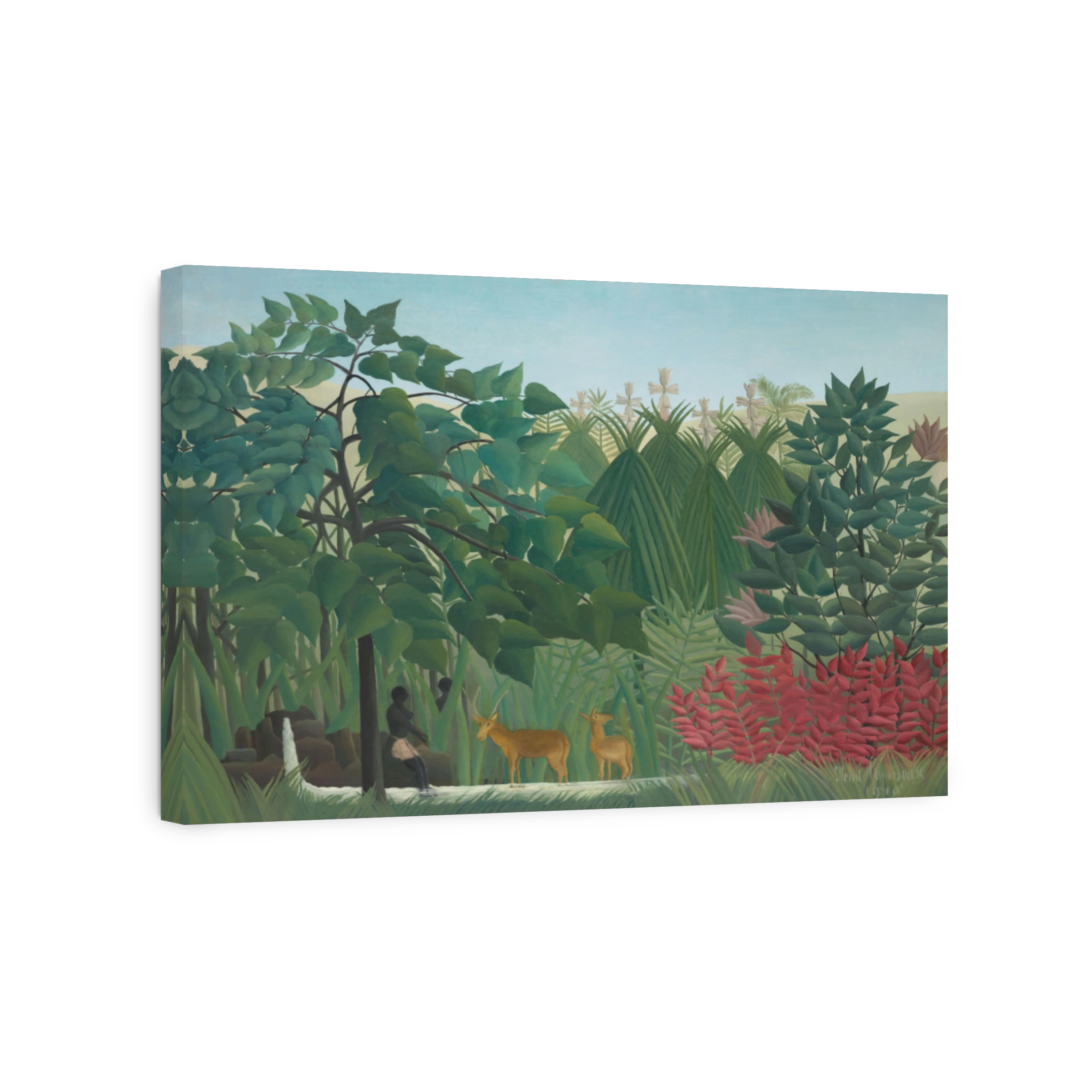 The Waterfall: A Tranquil Jungle Scene