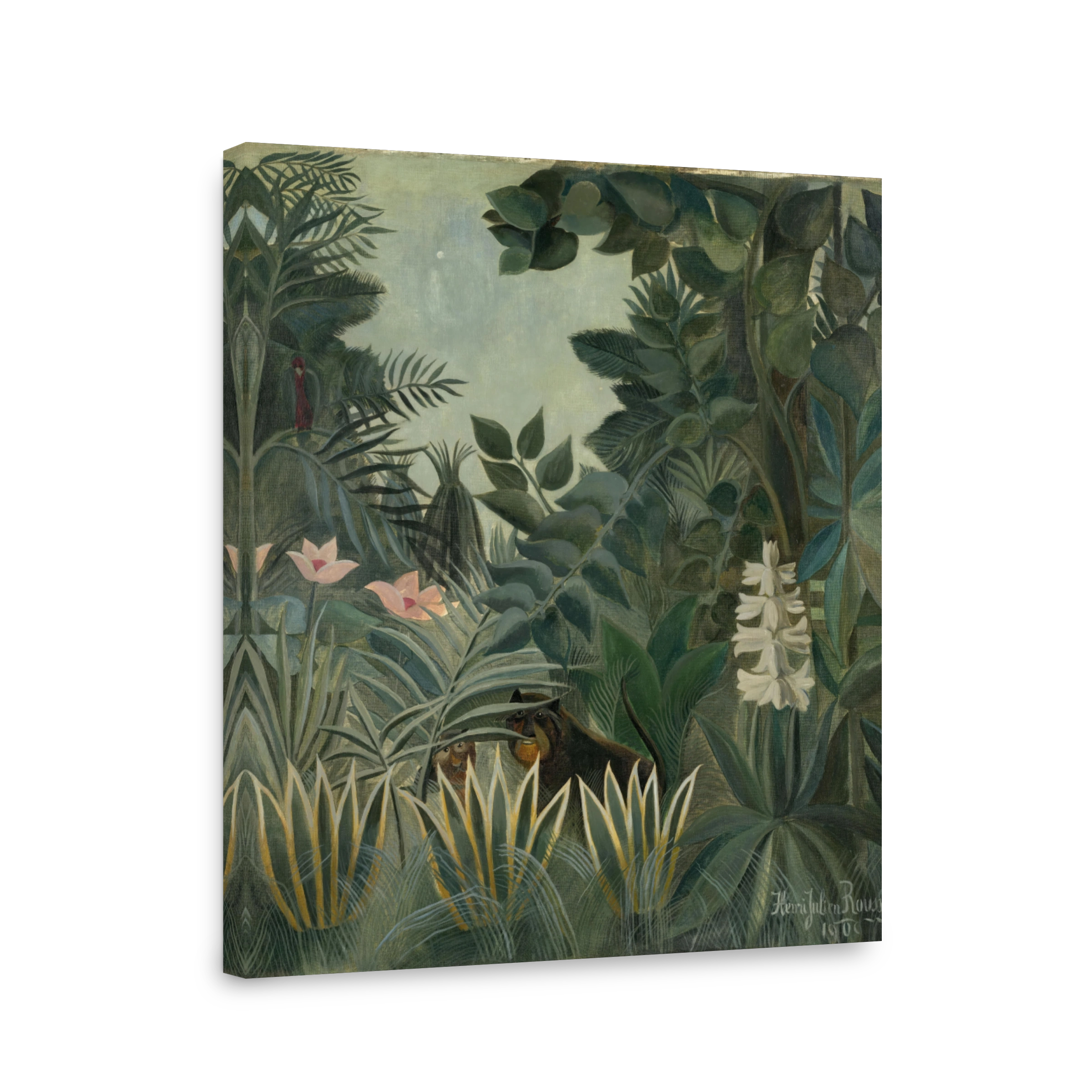 The Equatorial Jungle