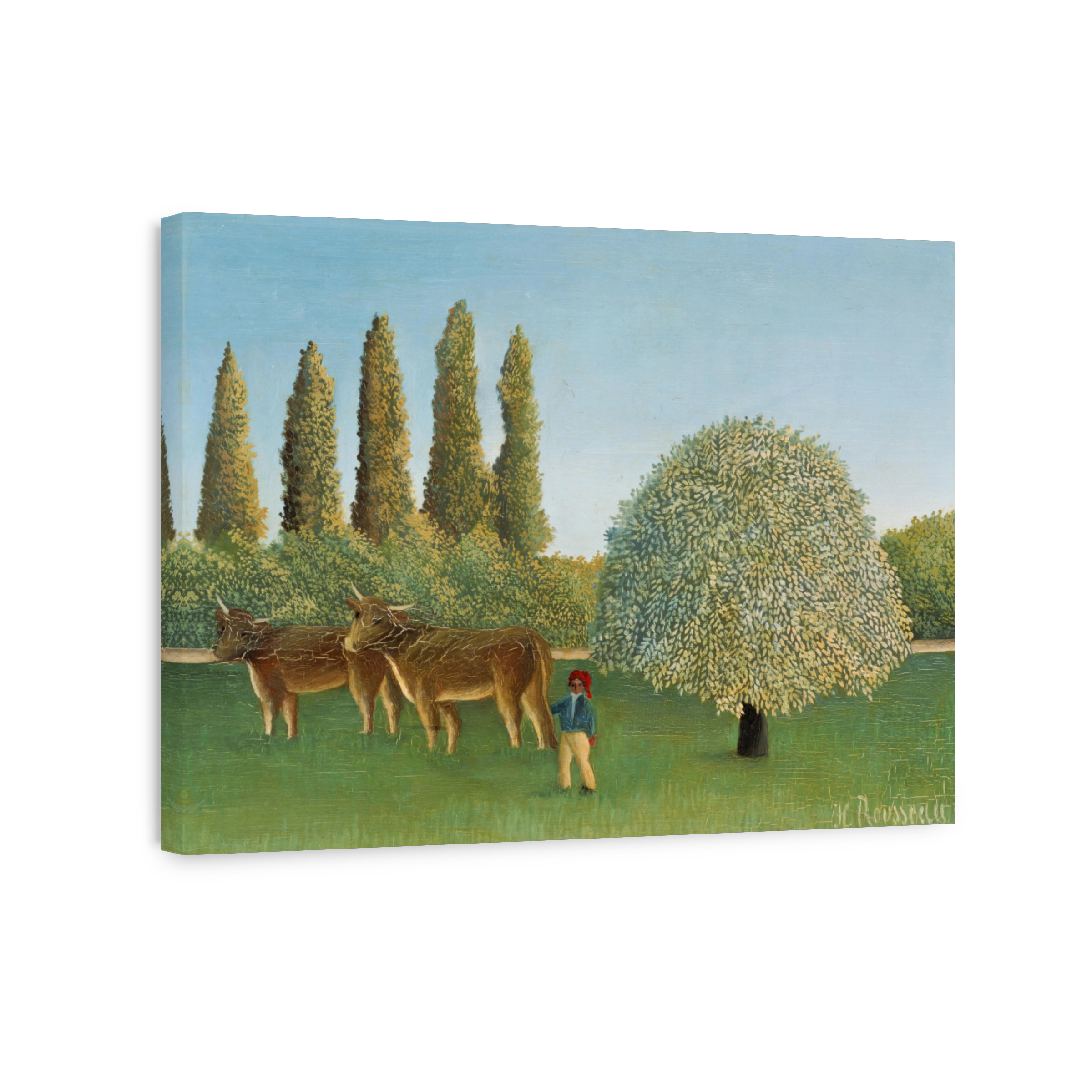 Cows and a boy in a meadow