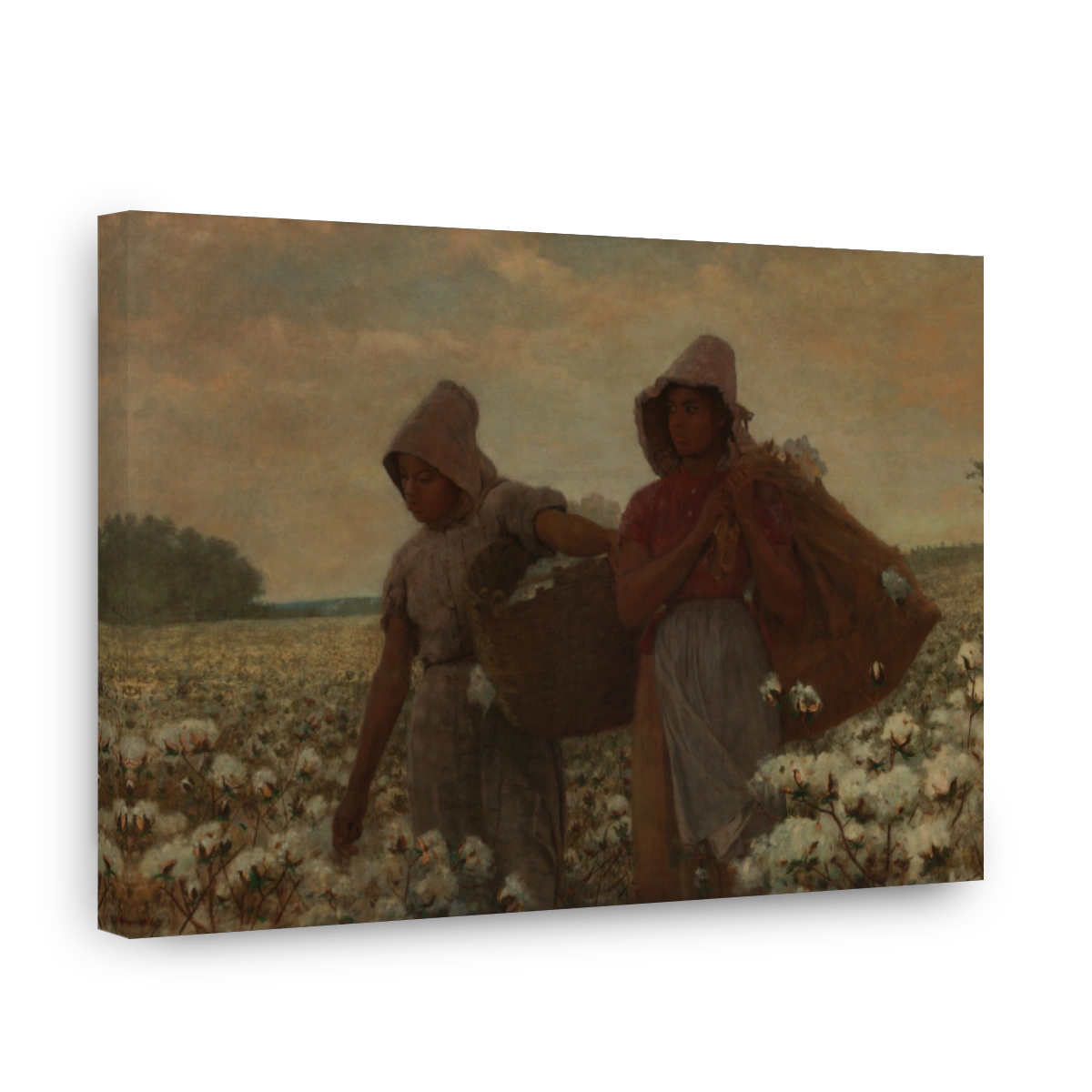 The Cotton Pickers by Winslow Homer