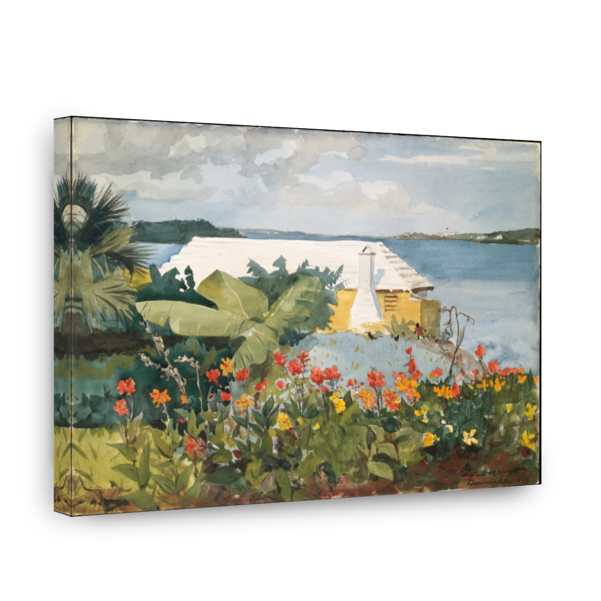 Flower Garden and Bungalow, Bermuda