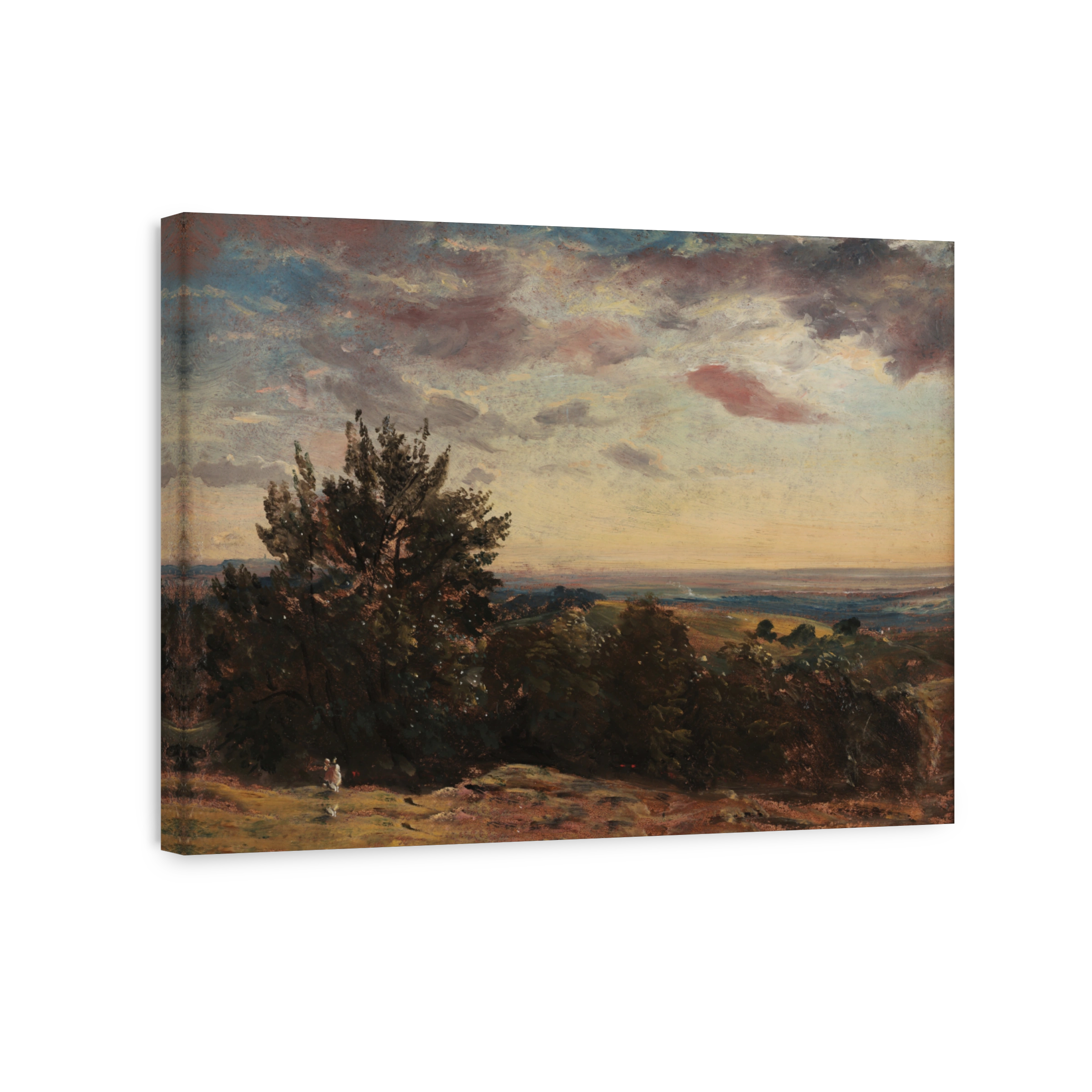 Landscape Study Hampstead Looking West