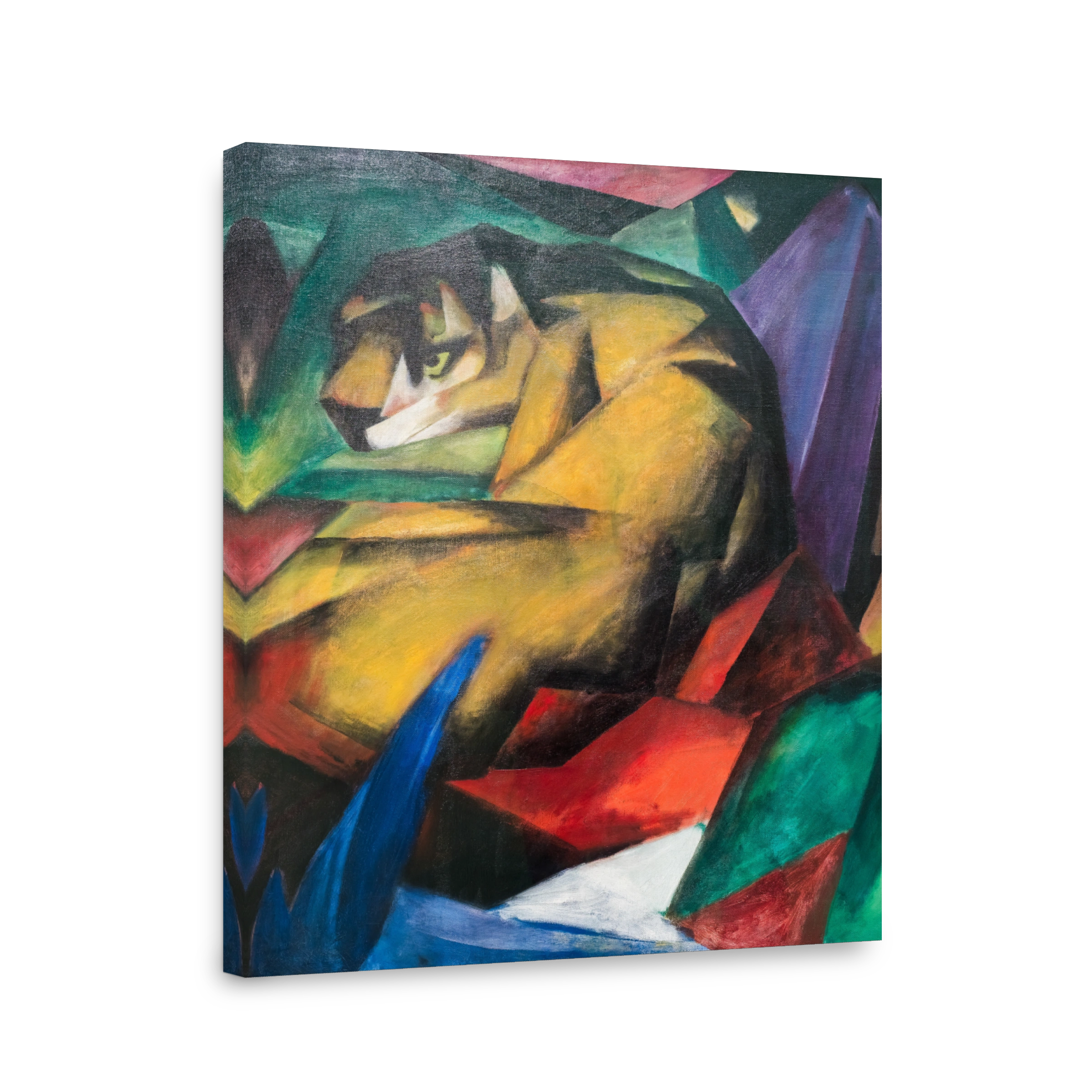 Tiger, 1912