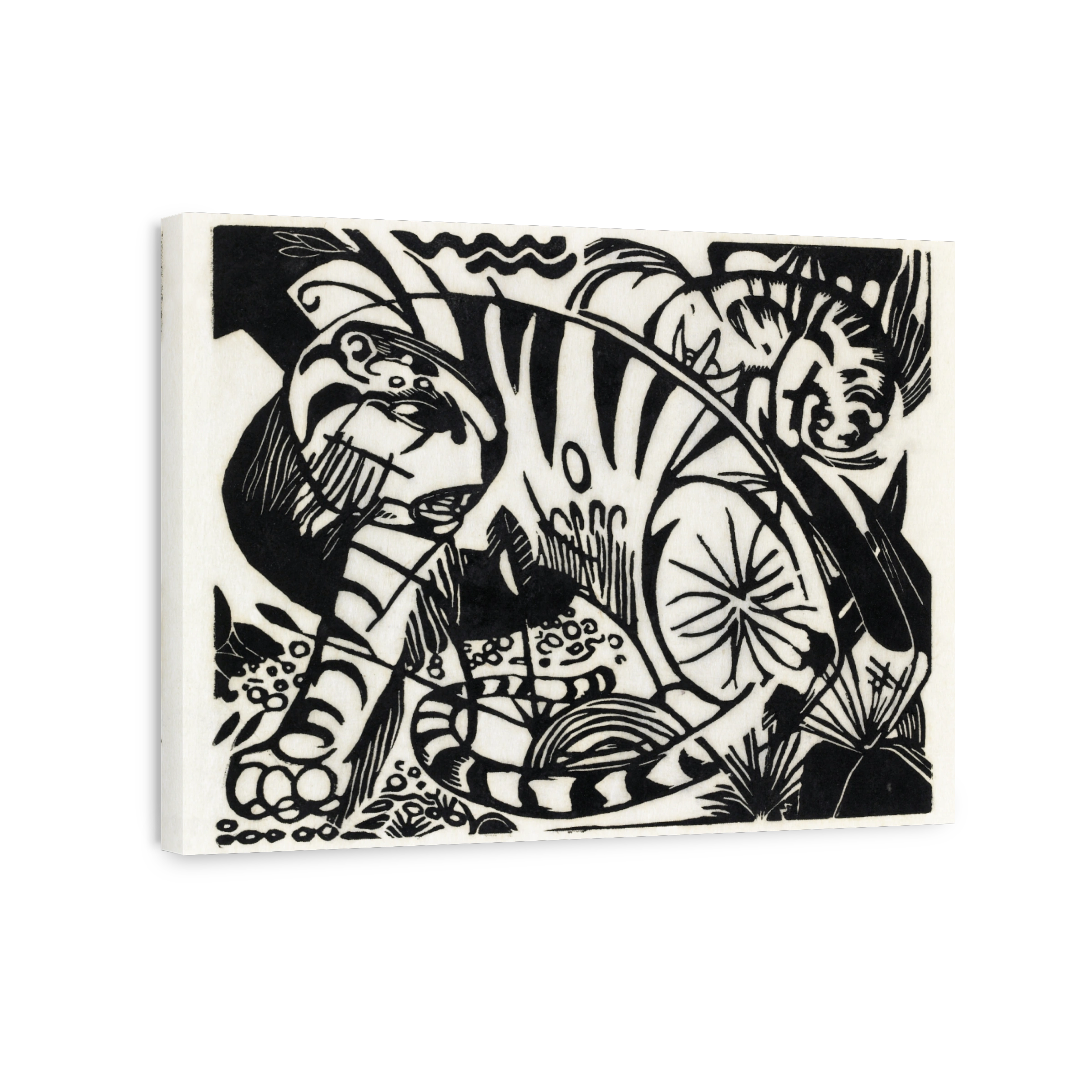 Tiger, 1912 Bw