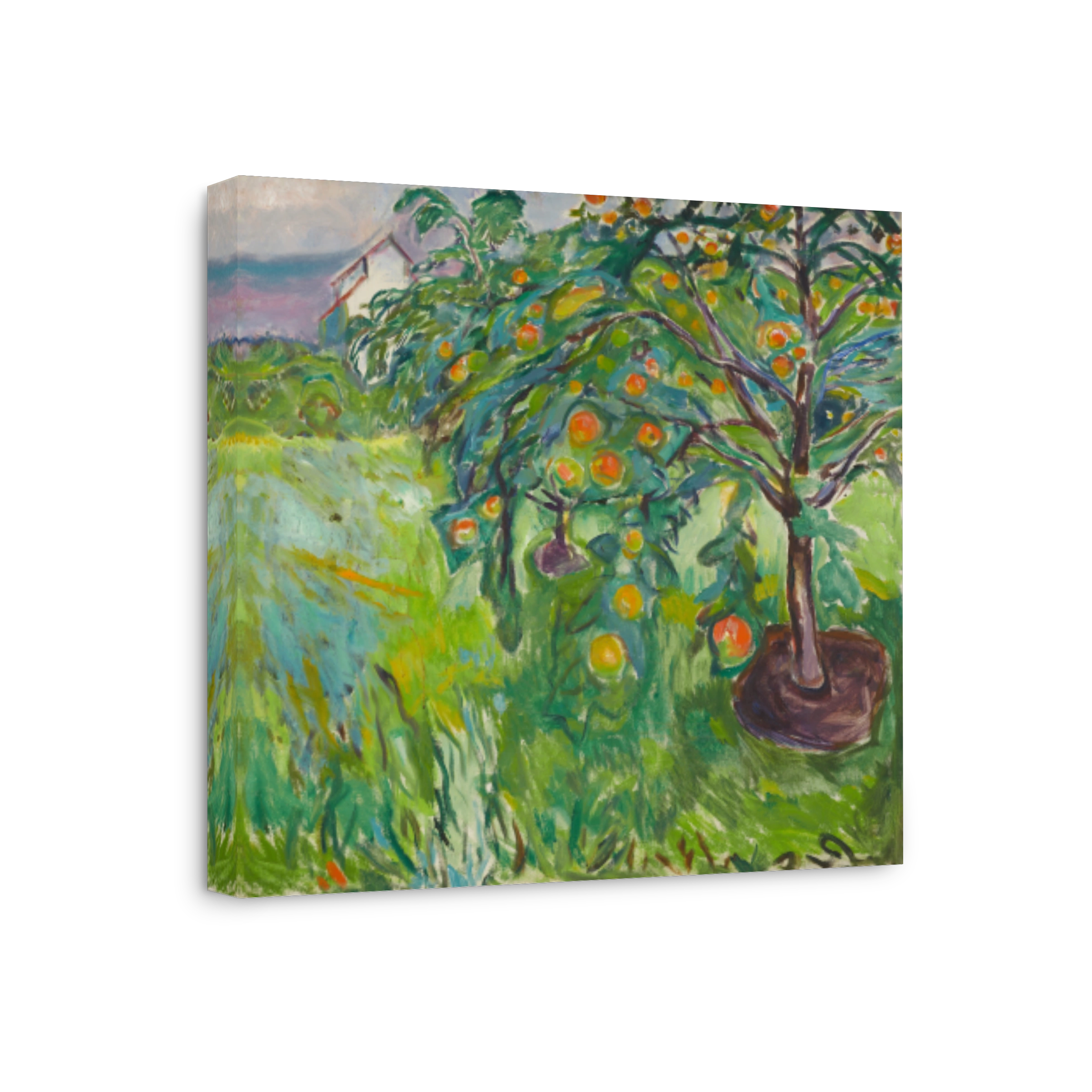 Apple Tree By The Studio