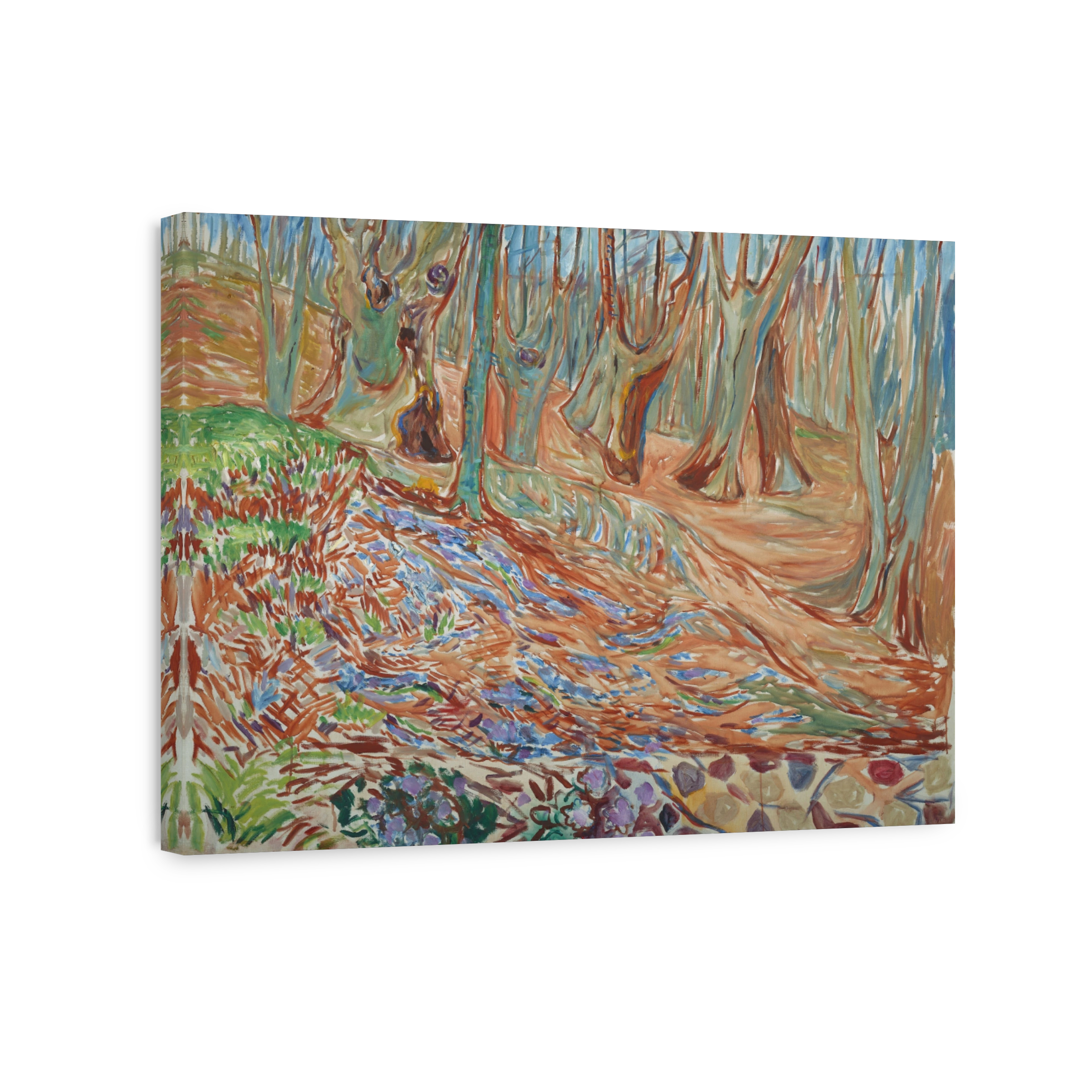 Elm Forest In Spring