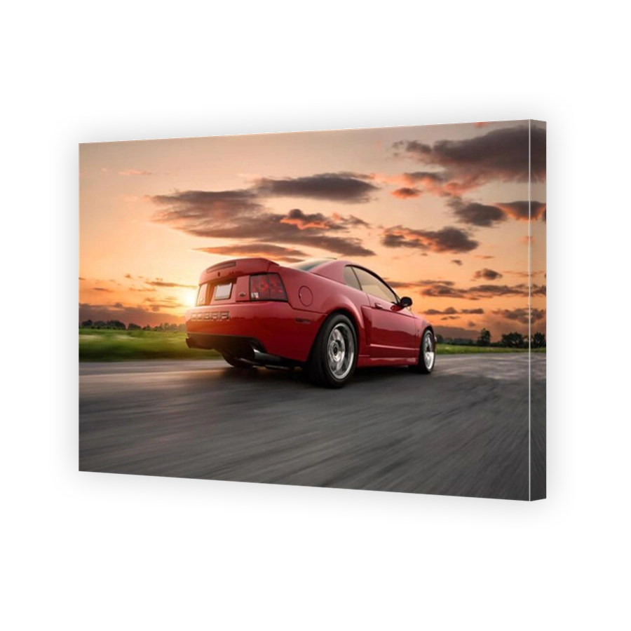 2003 Ford Mustang Cobra
