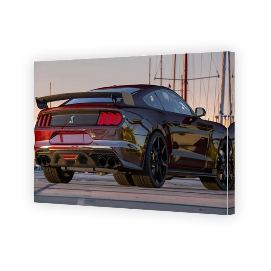 Mustang Shelby GT500-Classic American muscle car.