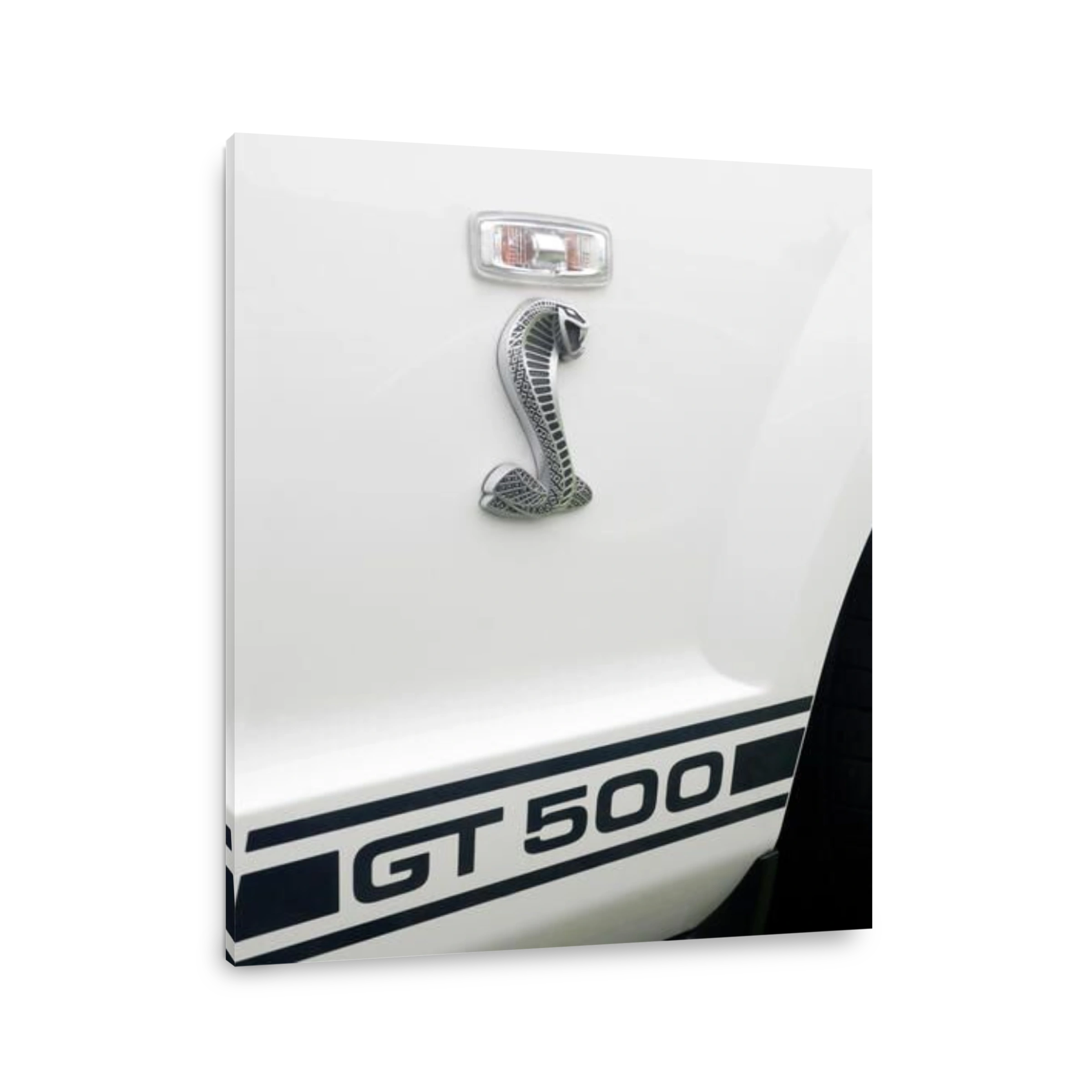 2007 Ford Mustang Shelby GT 500 badge