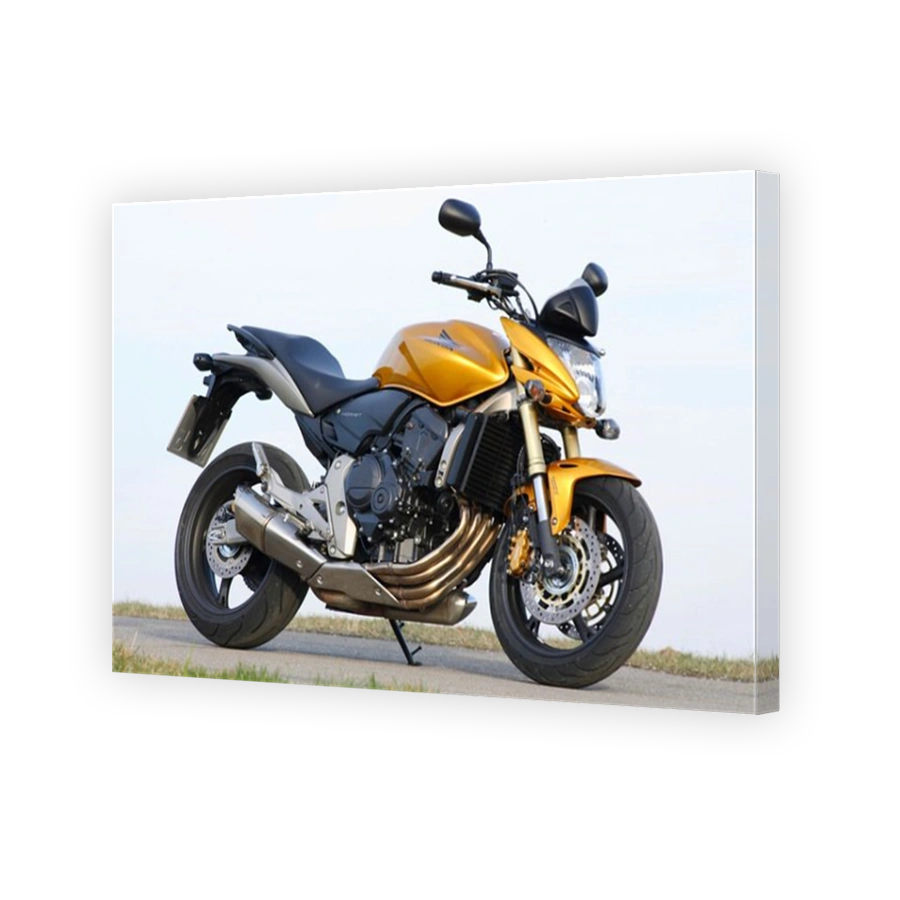 Honda Hornet motorcycle