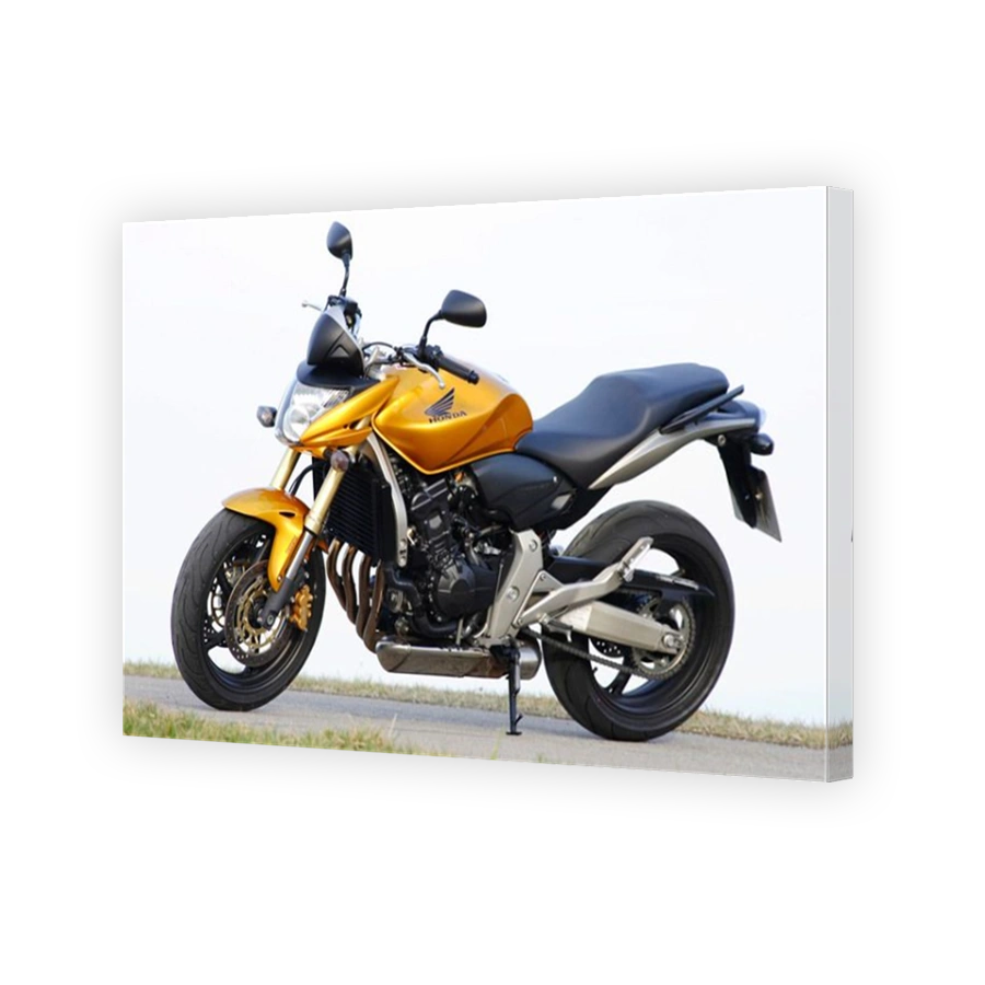 Honda Hornet motorcycle