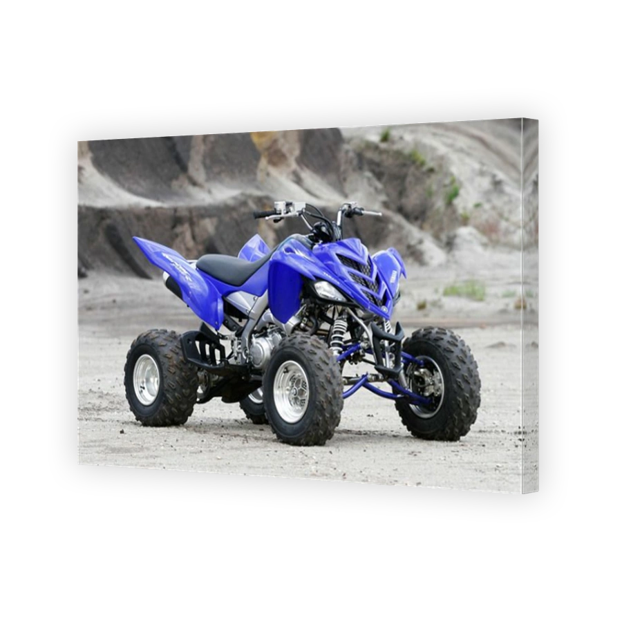 Yamaha Quad Raptor 700 side view