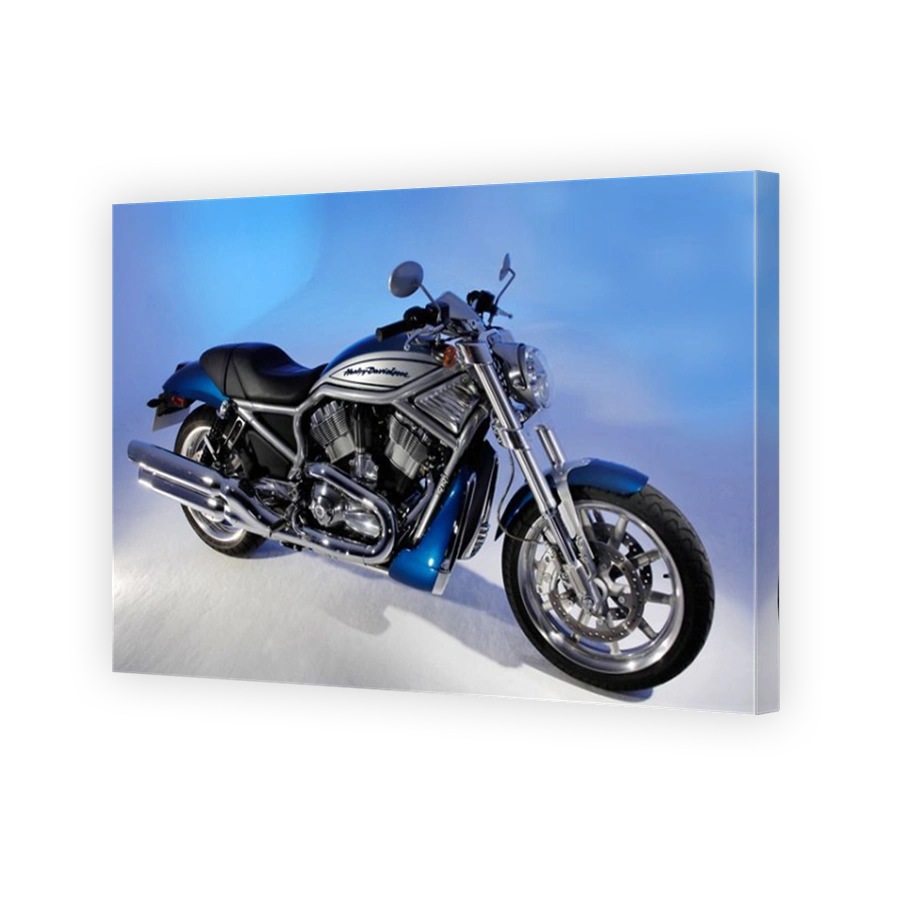 2005 Harley Davidson VRSCR Street Rod