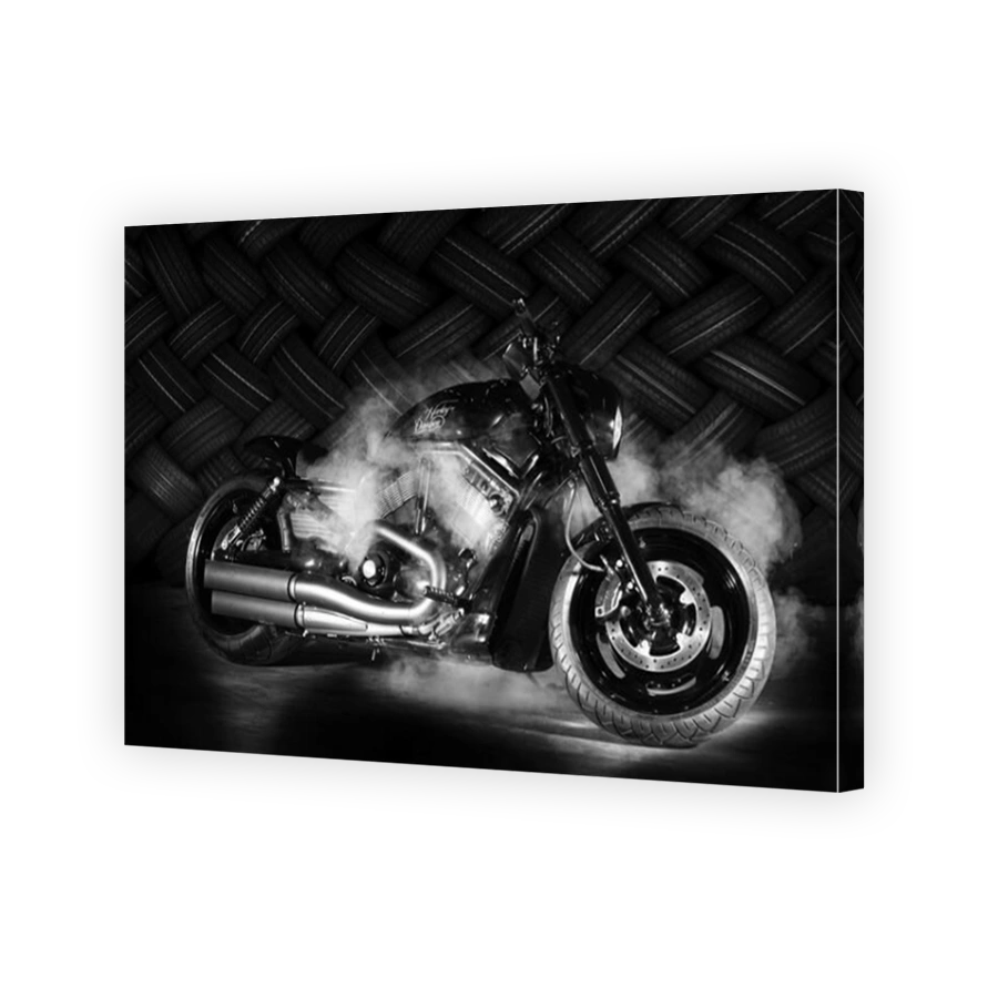 Motorcycle, Harley Davidson, monochrome, Germany