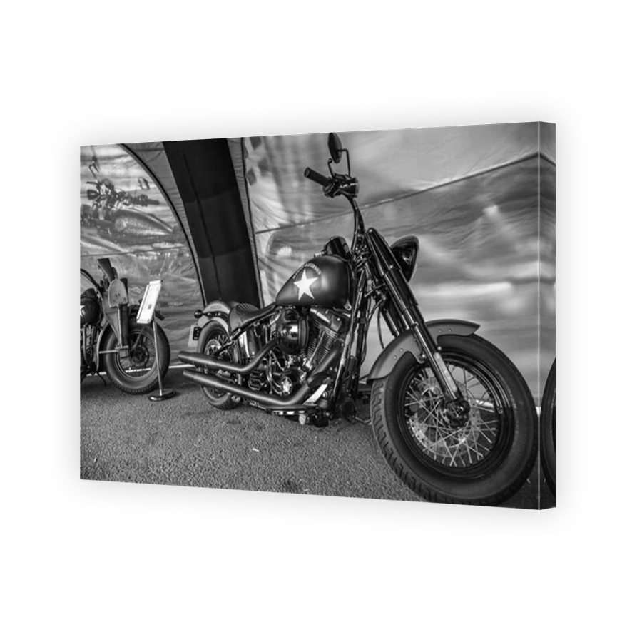 Harley Davidson motorbike exposition