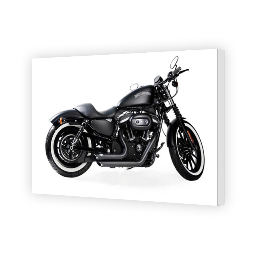 Harley Davidson