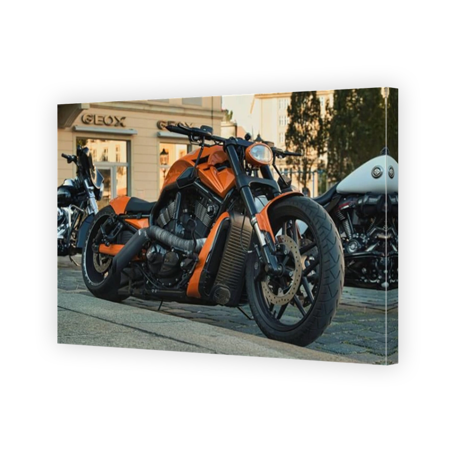 harley davidson orange