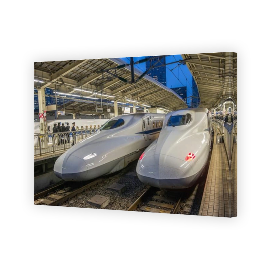 Two bullet trains, Shinkanzen train station, Tokyo, Honshu, Japan, Asia