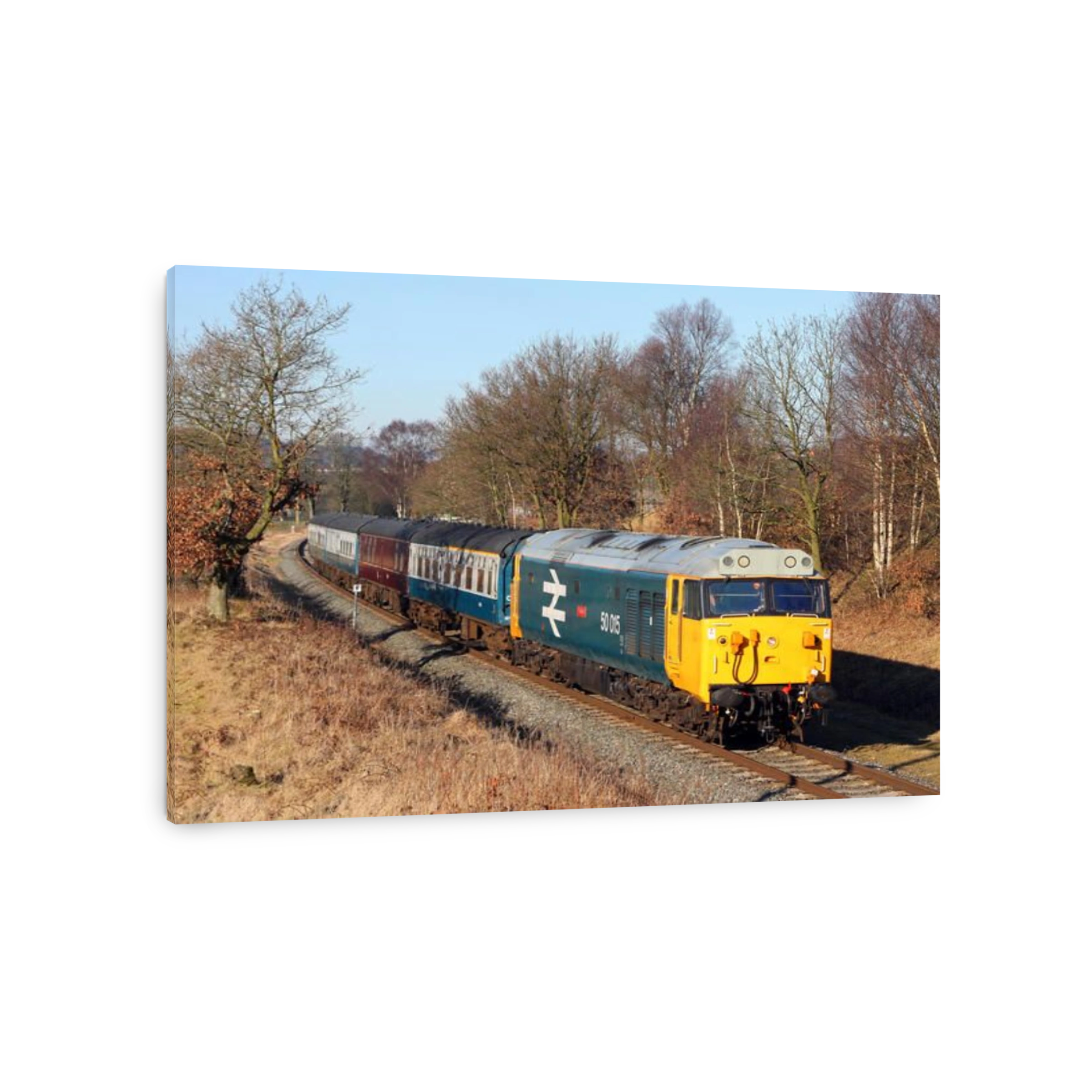 Class 50 50015 passes Springside Farm on the East Lancs Railway during a Diesel gala.