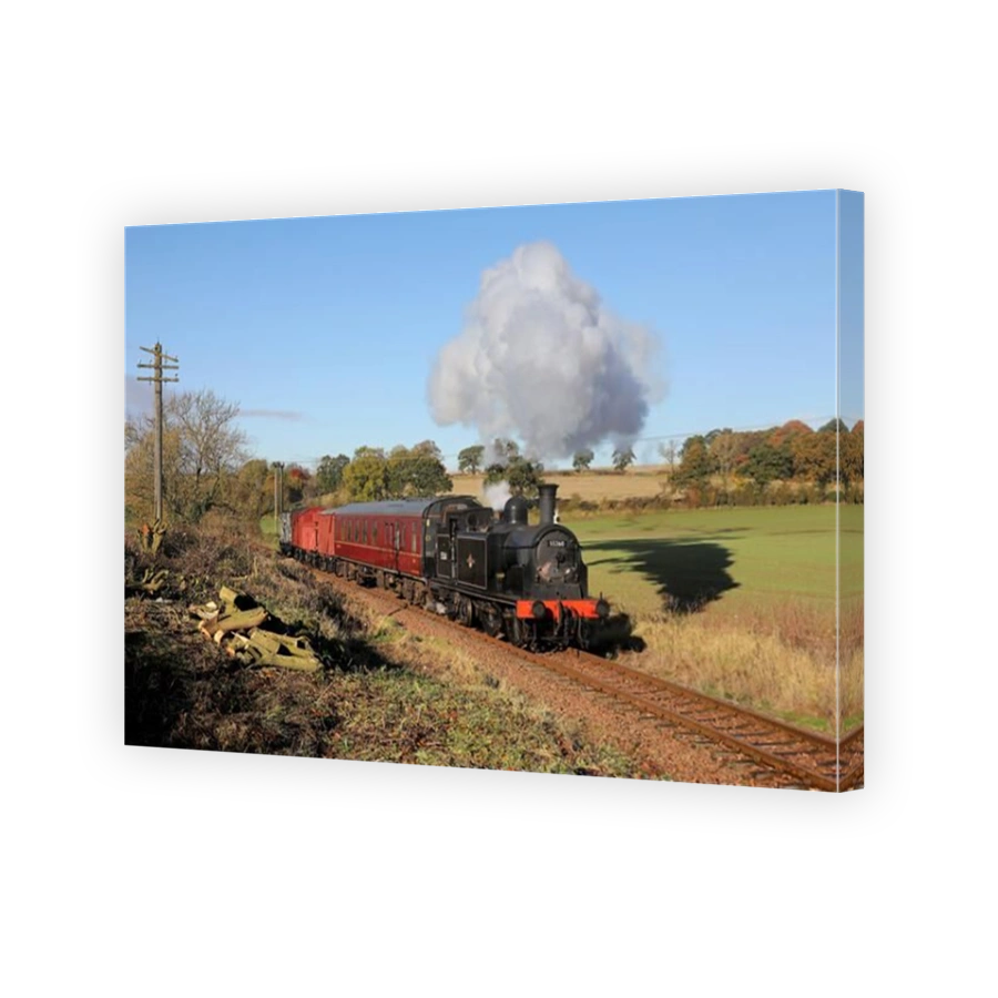 55260 approaches Birkhill on 5.11.23 during a 'In Search of Steam' photo charter.