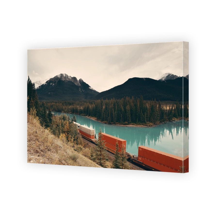 Cargo train