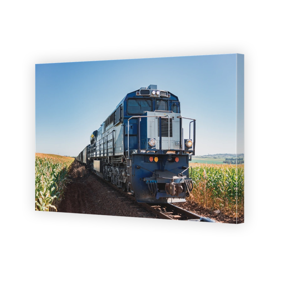 Train in the middle of cornfields