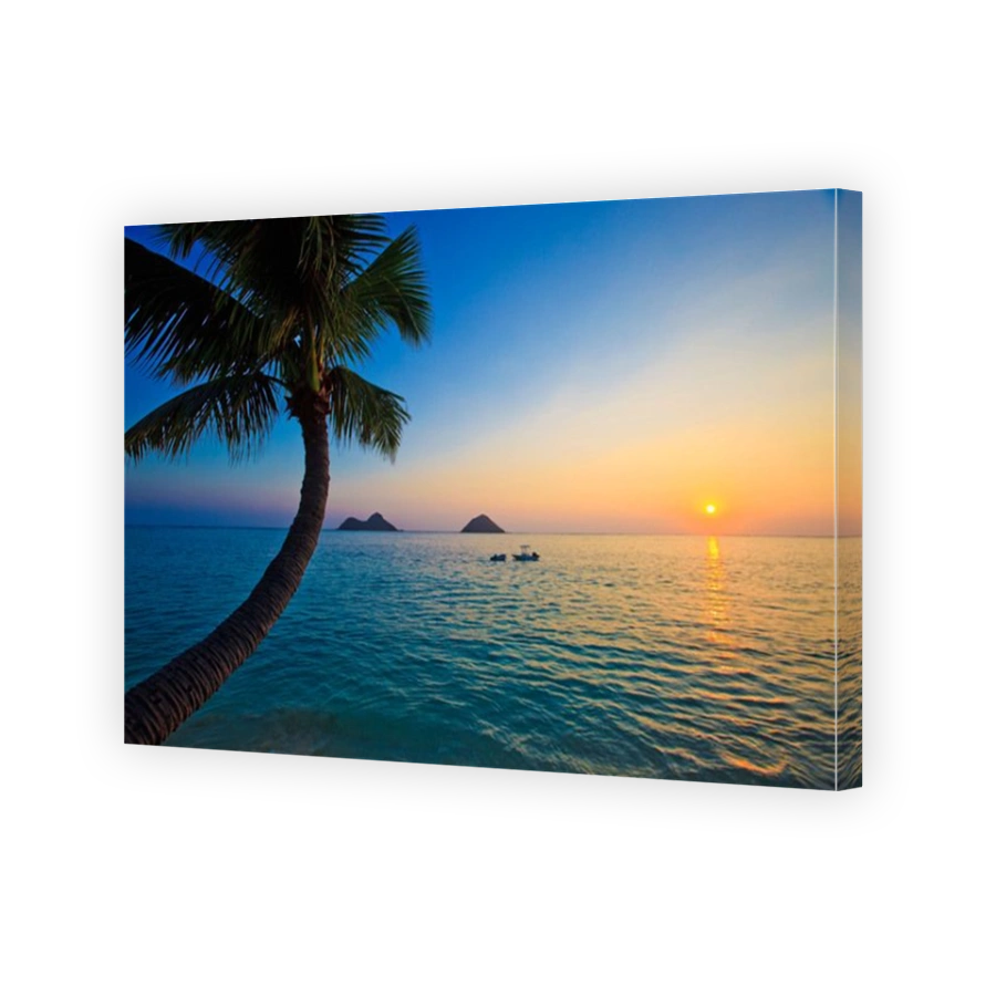pacific sunrise with palm tree,boats, and islands
