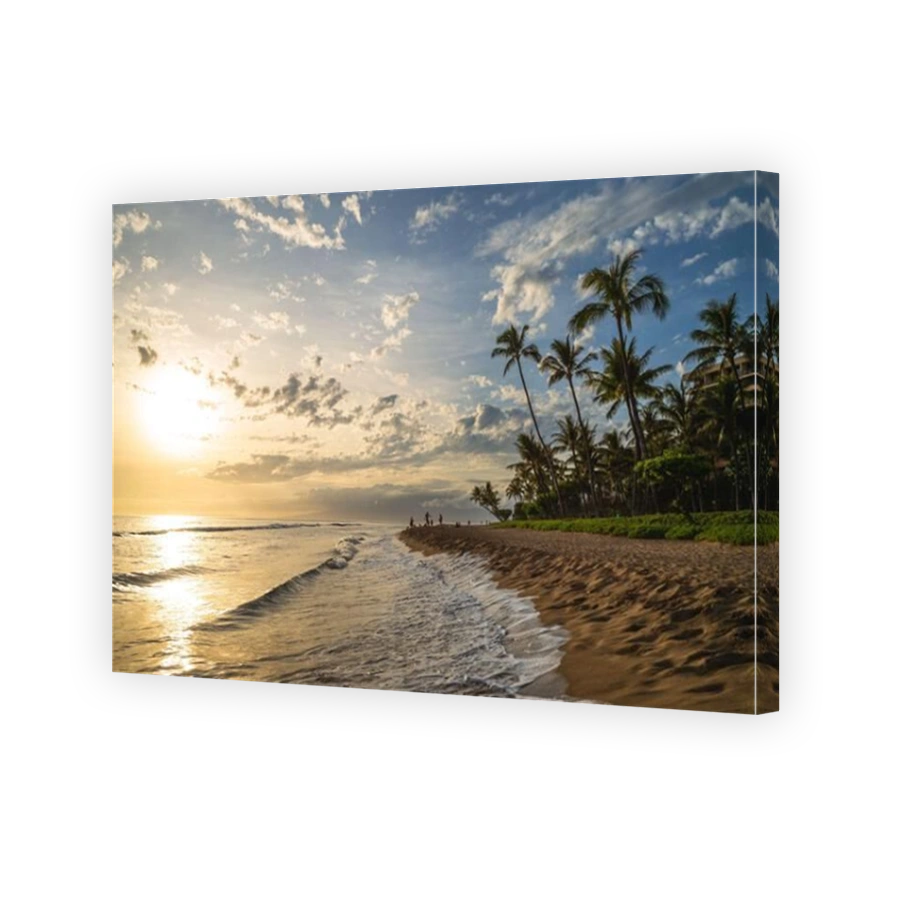 scenery at kaanapali beach in maui island, hawaii