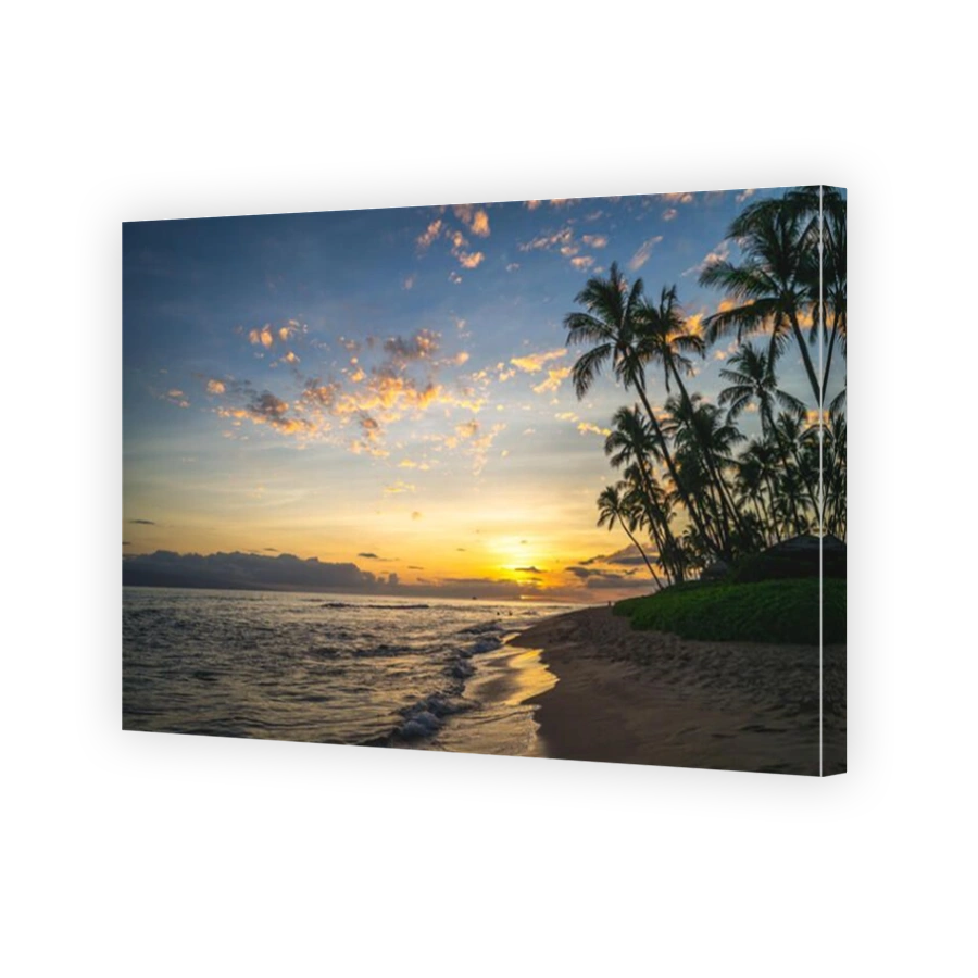 scenery at kaanapali beach in maui island, hawaii