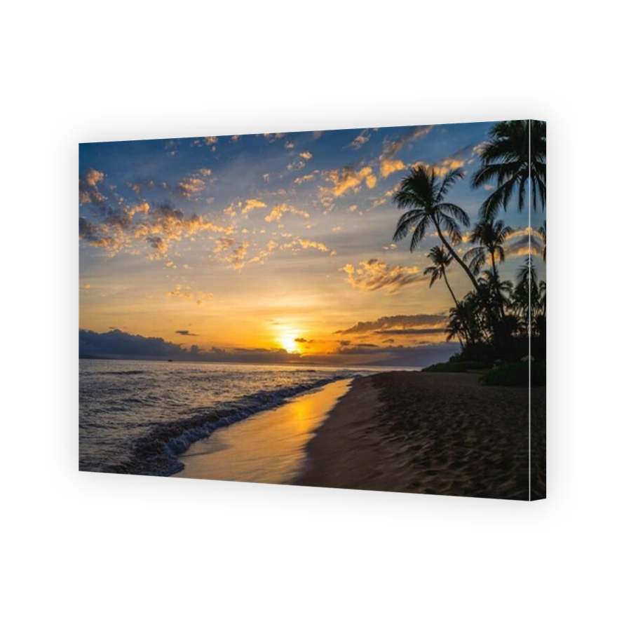 scenery at kaanapali beach in maui island, hawaii