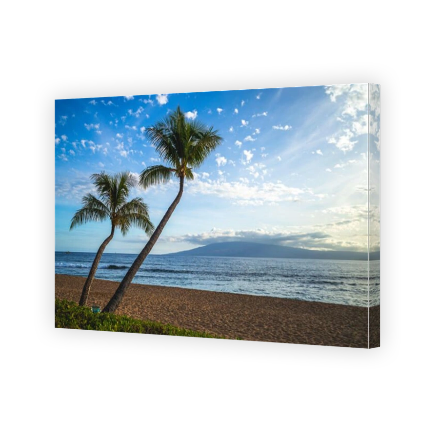 scenery at kaanapali beach in maui island, hawaii