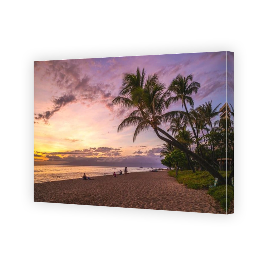 scenery at kaanapali beach in maui island, hawaii