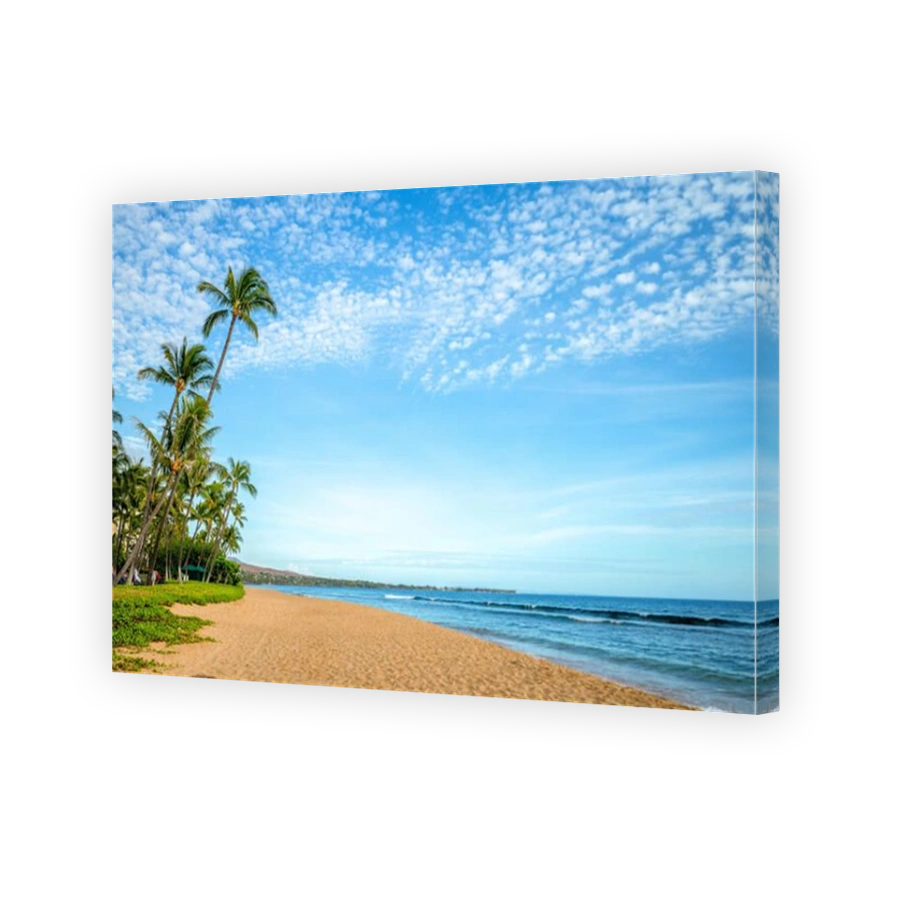 scenery at kaanapali beach in maui island, hawaii