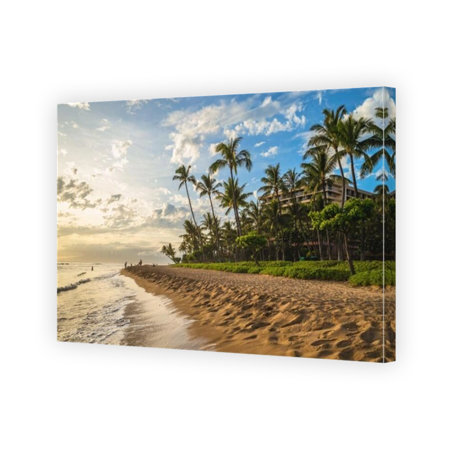 scenery at kaanapali beach in maui island, hawaii