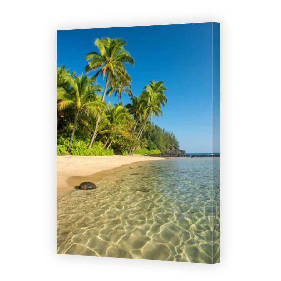 USA,Vereinigte Staaten,Amerika,Hawaii,Island,Kauai,Hanalei,Na Pali,Coast