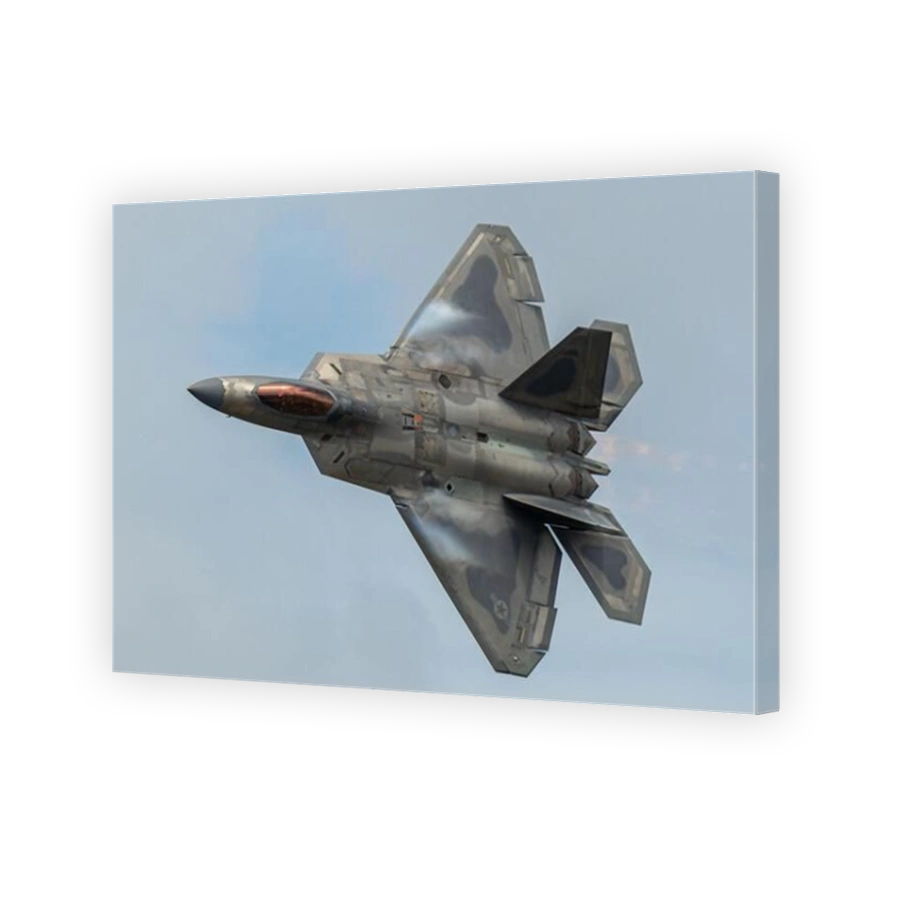 The amazing Raptor fighter jet.