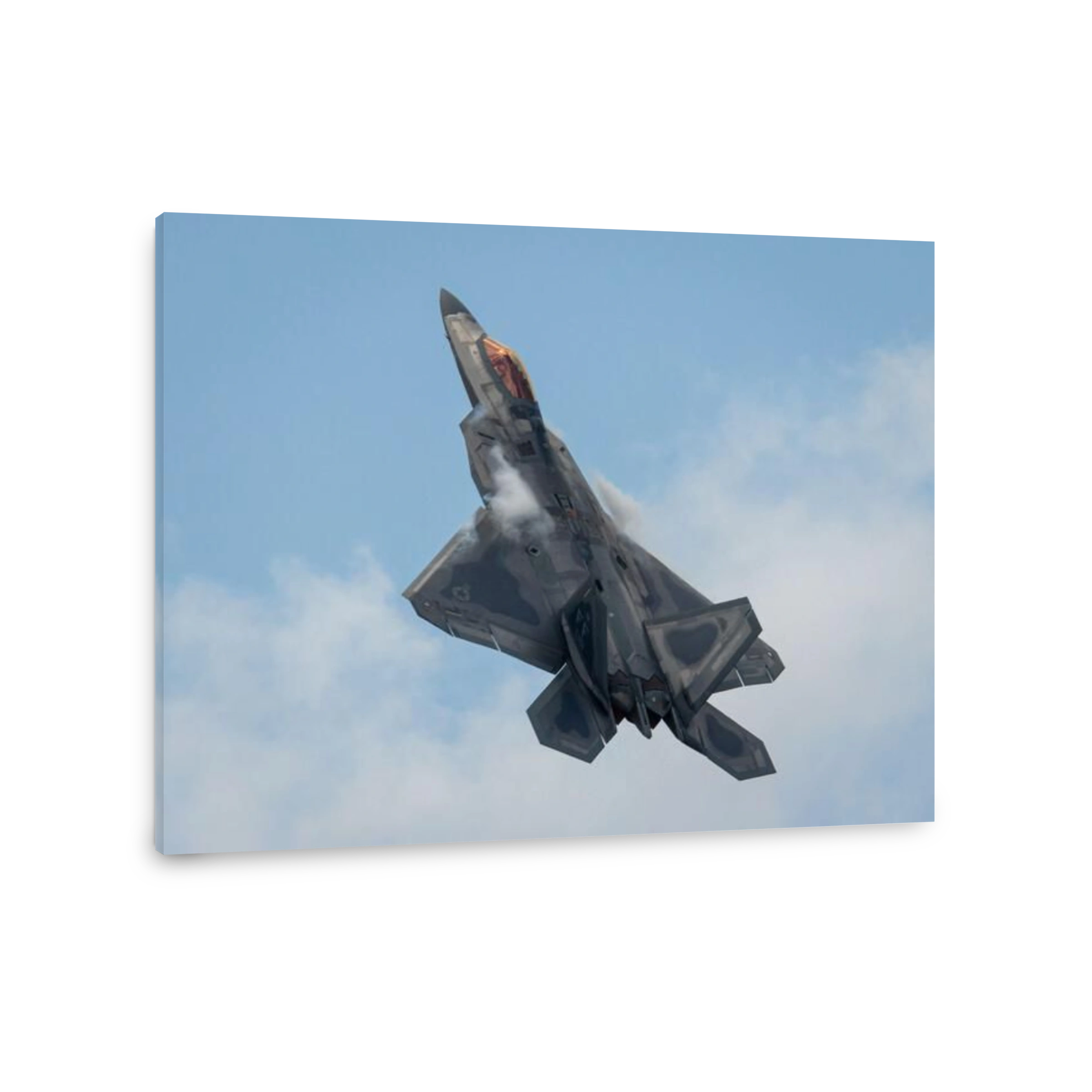 The amazing Raptor fighter jet.