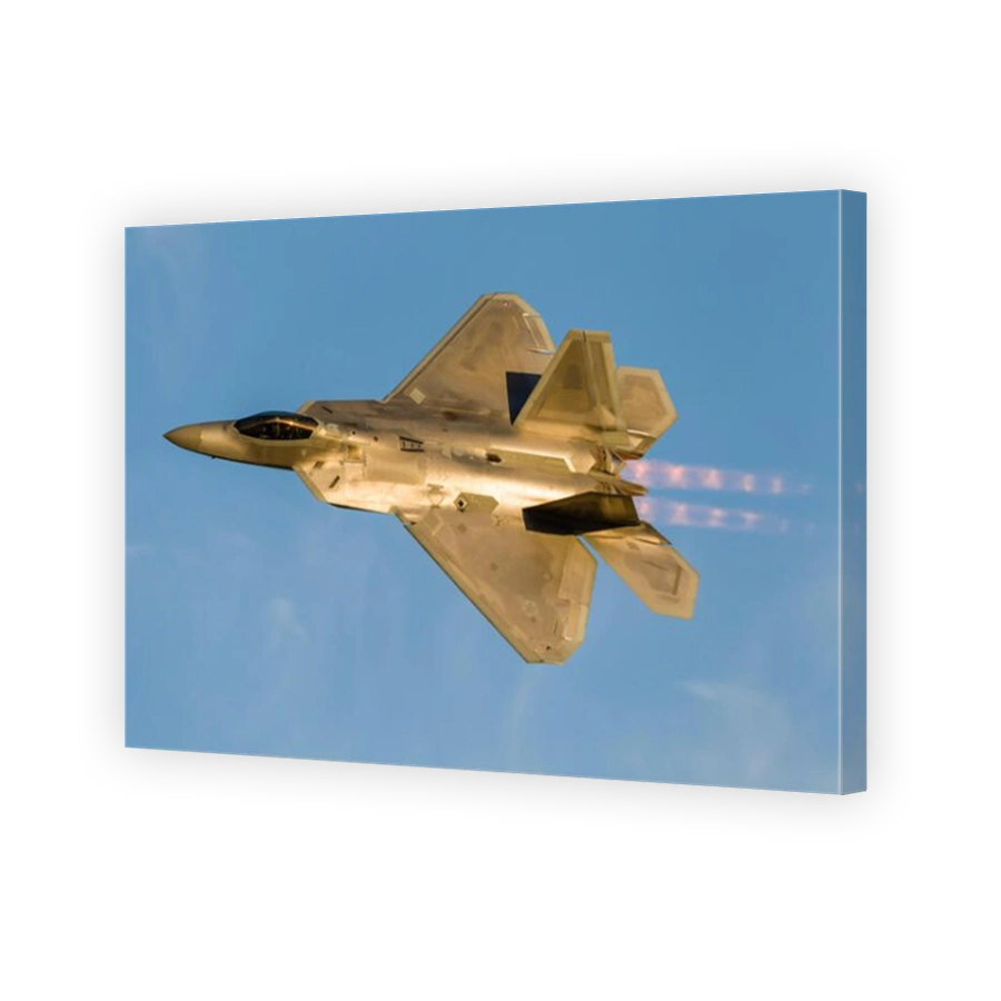 An F-22A Raptor of the U.S. Air Force turns at high speed over Chino, California.
