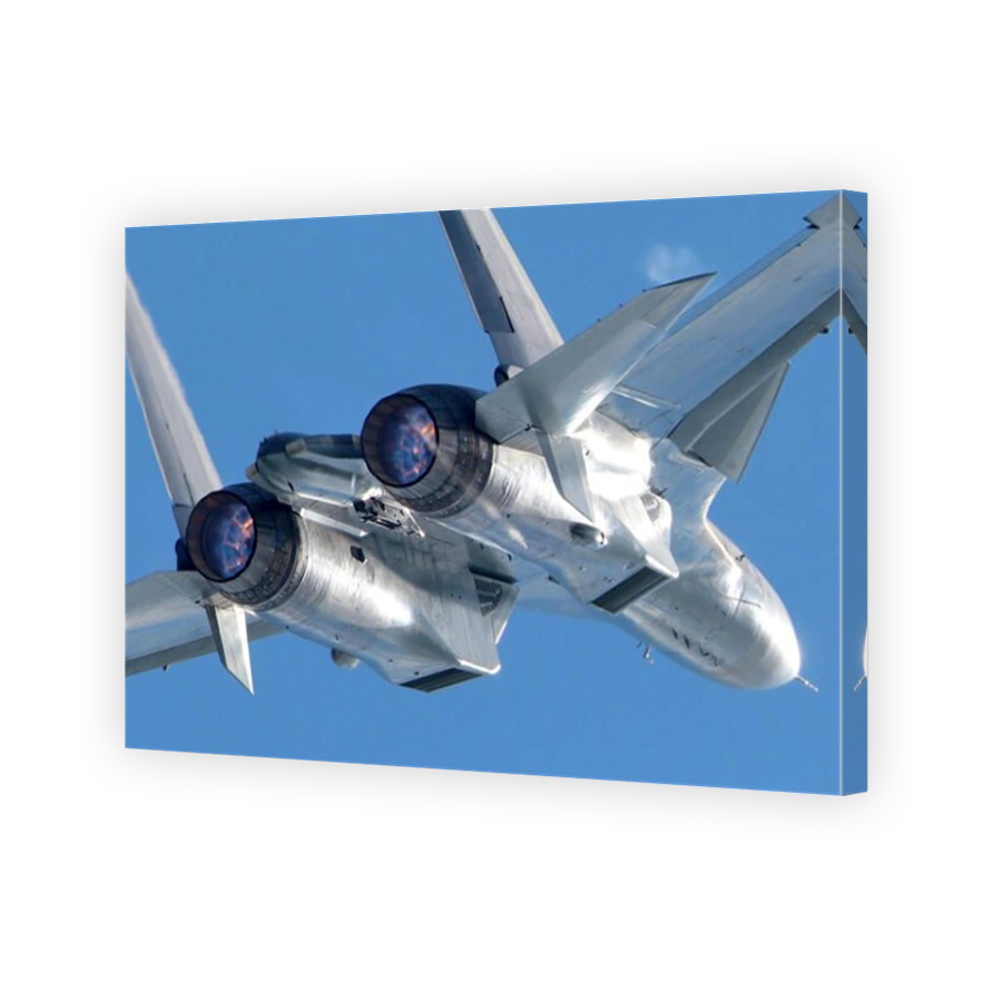 Rear view of a Su-30SM jet fighter of the Russian Air Force.