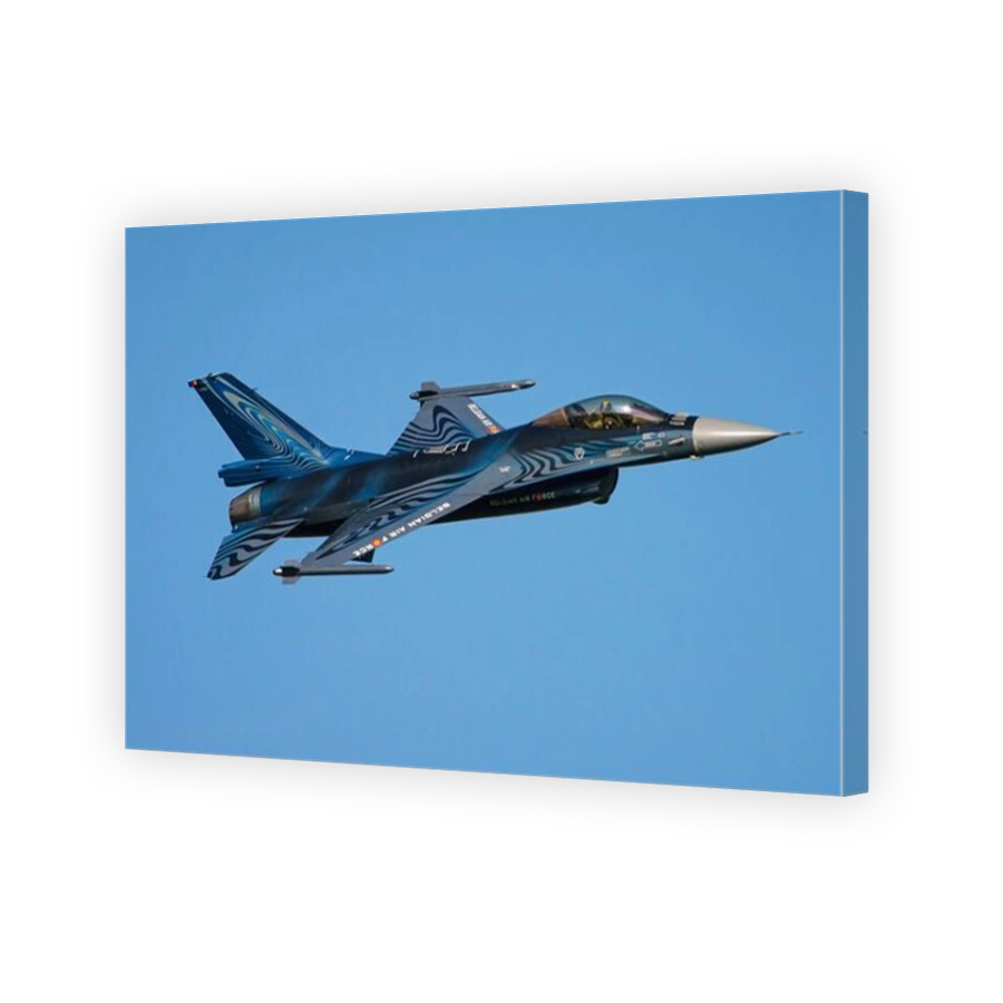 A Belgian Air Component F-16 Fighting Falcon in special colors.
