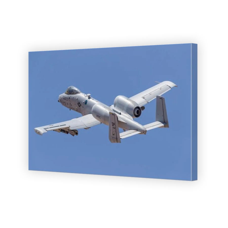 A U.S. Air Force A-10 Thunderbolt II.