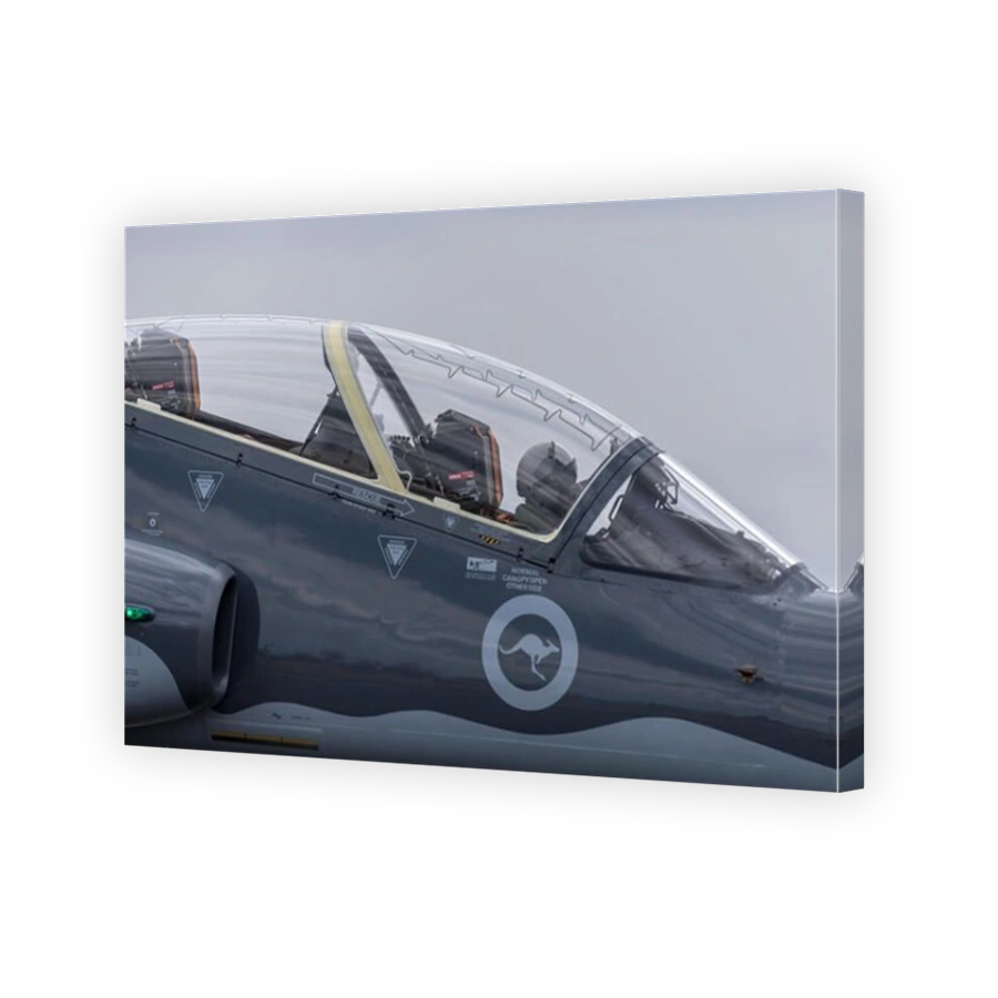 Royal Australian Air Force (RAAF) BAE Hawk 127 lead in fighter trainer aircraft.