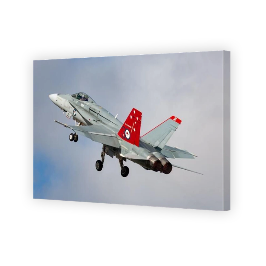 Royal Australian Air Force (RAAF) McDonnell Douglas F/A-18A Hornet multirole fighter aircraft A21-35 with a specially marked tail to commemorate the 3